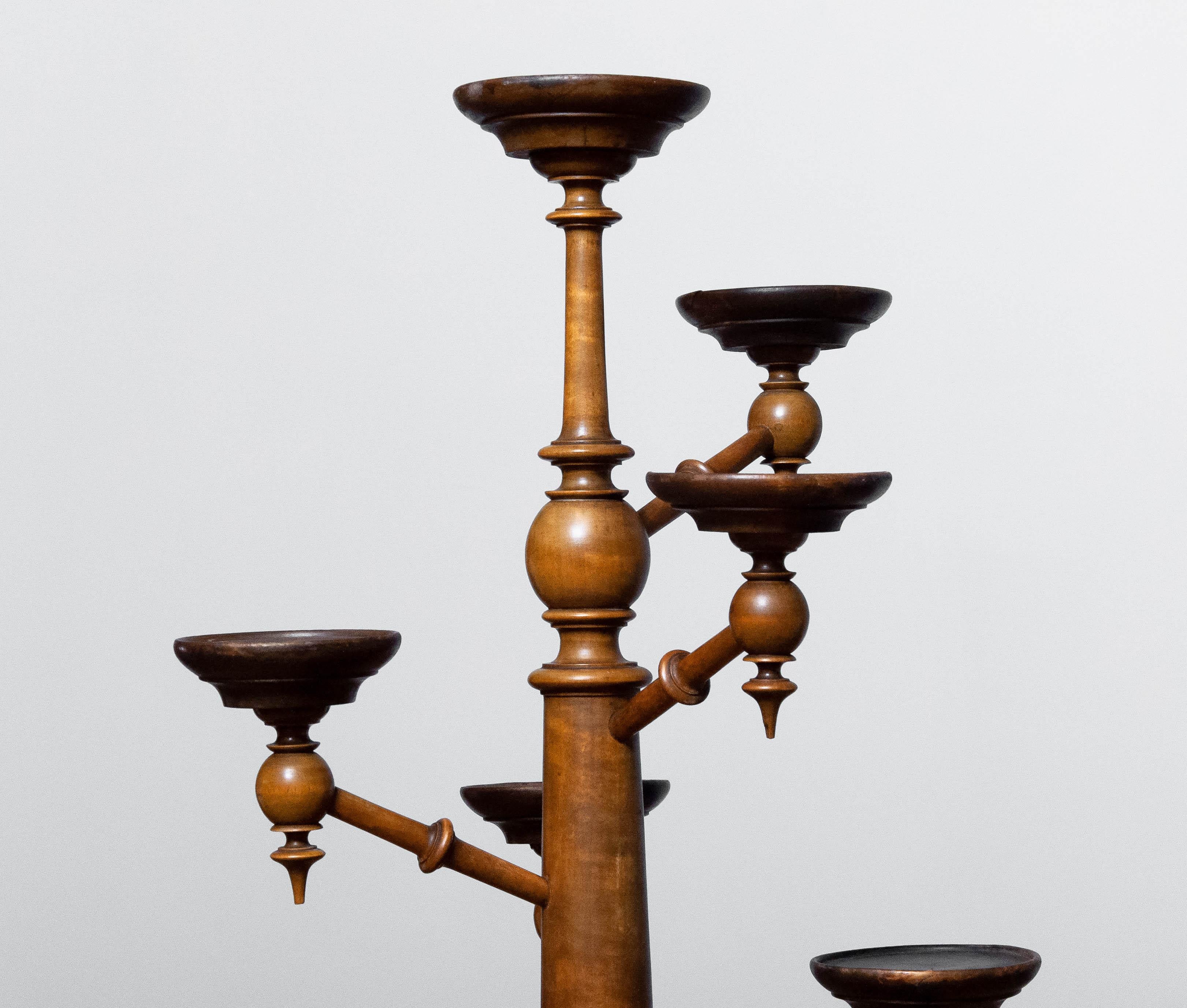 Chippendale 19th Century Scandinavian Eight-Armed Flower / Candle Etagere / Pedestal Walnut For Sale