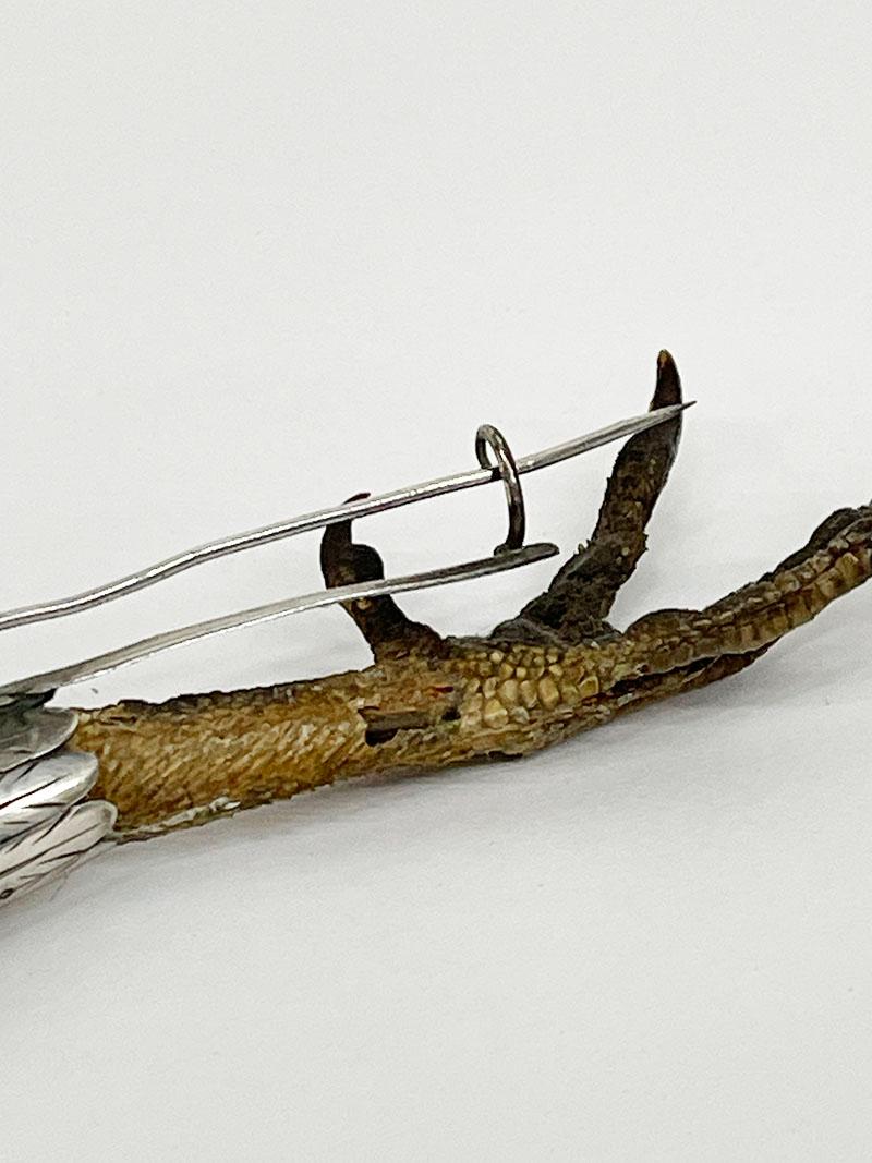 19th Century Scottish capercaillie foot brooch In Good Condition For Sale In Delft, NL