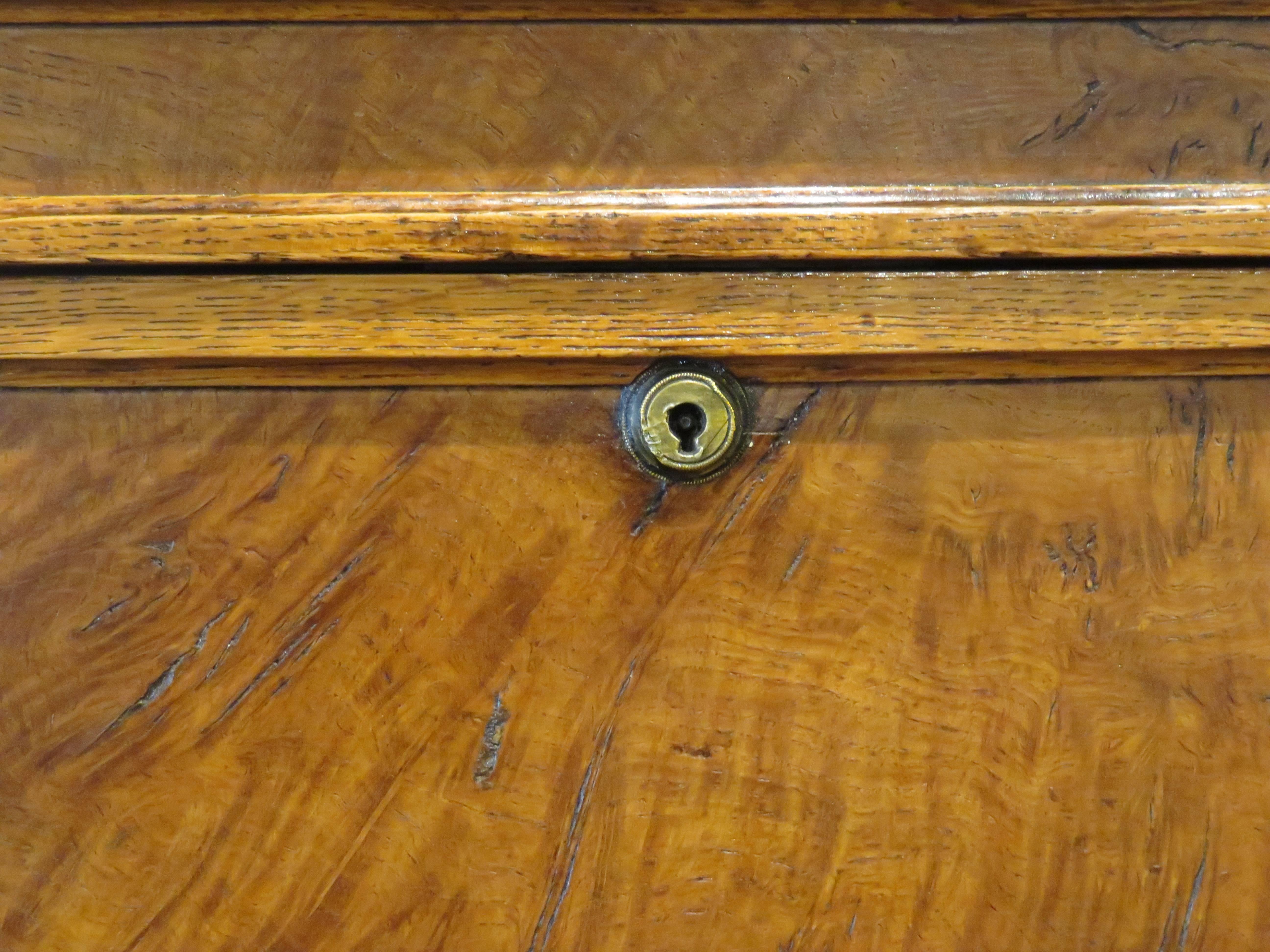 19th Century Scottish Gothic Revival Solid Pollard Oak Utility Box For Sale 10