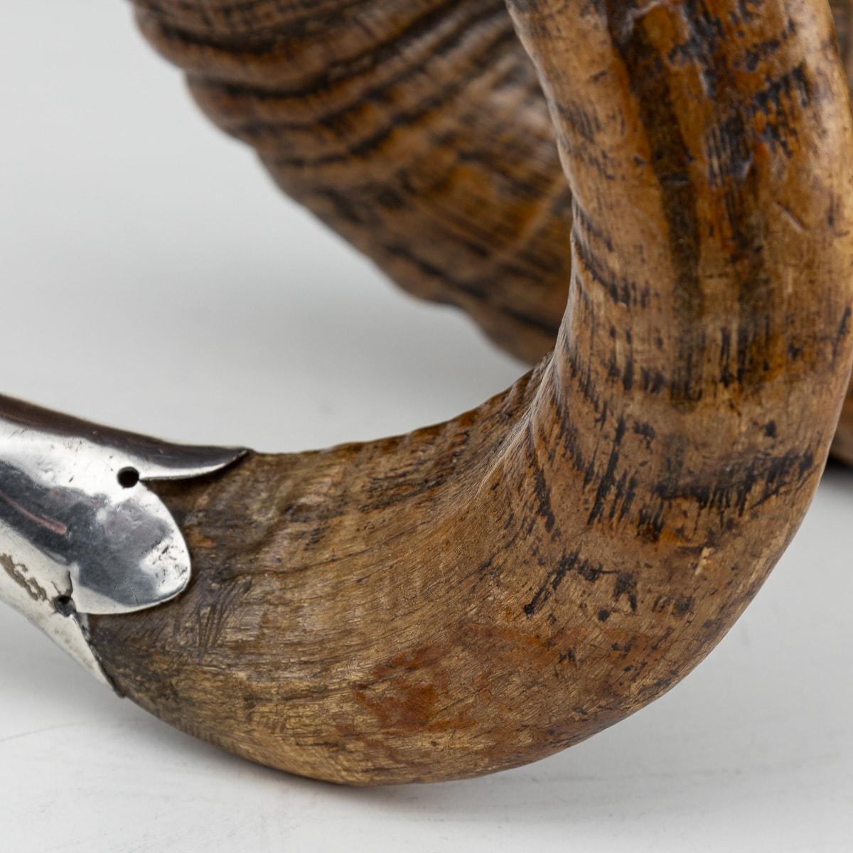 Snuff Mull da tavolo scozzese del XIX secolo in corno, citrino e argento massiccio, 1880 ca. 7