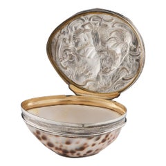 19th Century Scottish Silver Mounted Cowrie Shell Snuff Box