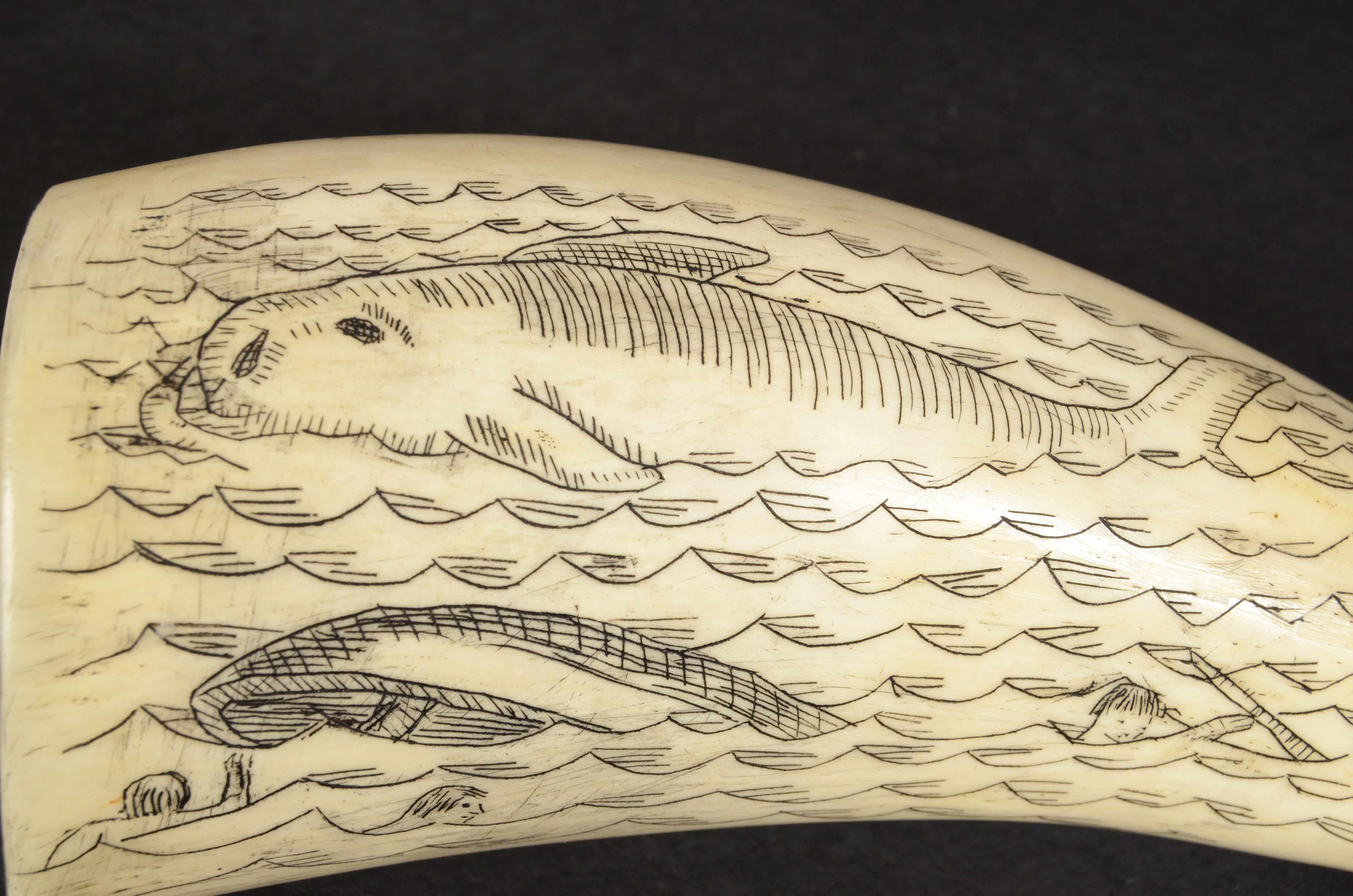 19th Century Scrimshaw Engraved Whale Tooth Antique Original Marine Artcraft In Good Condition In Milan, IT
