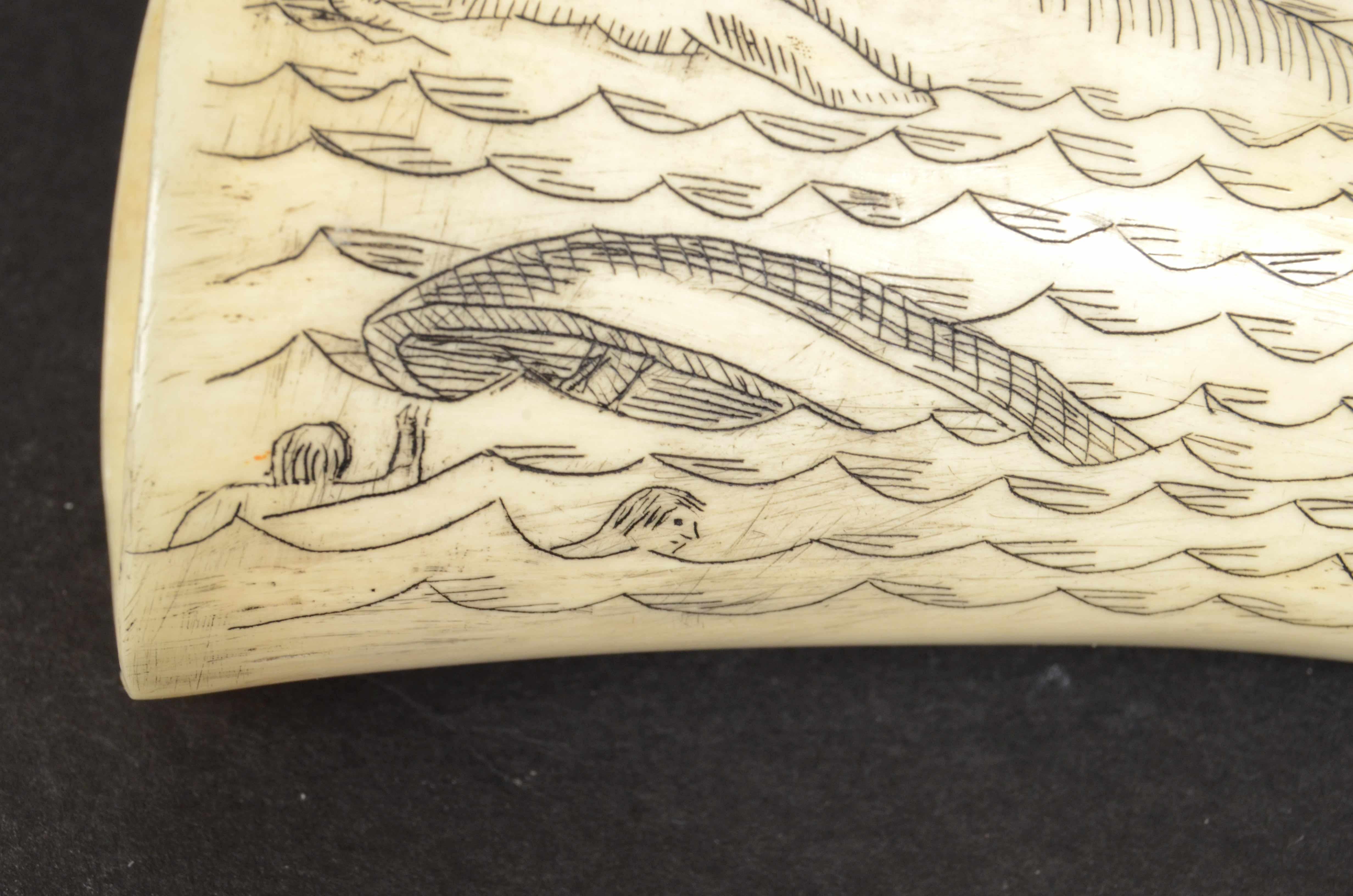 Mid-19th Century 19th Century Scrimshaw Engraved Whale Tooth Antique Original Marine Artcraft