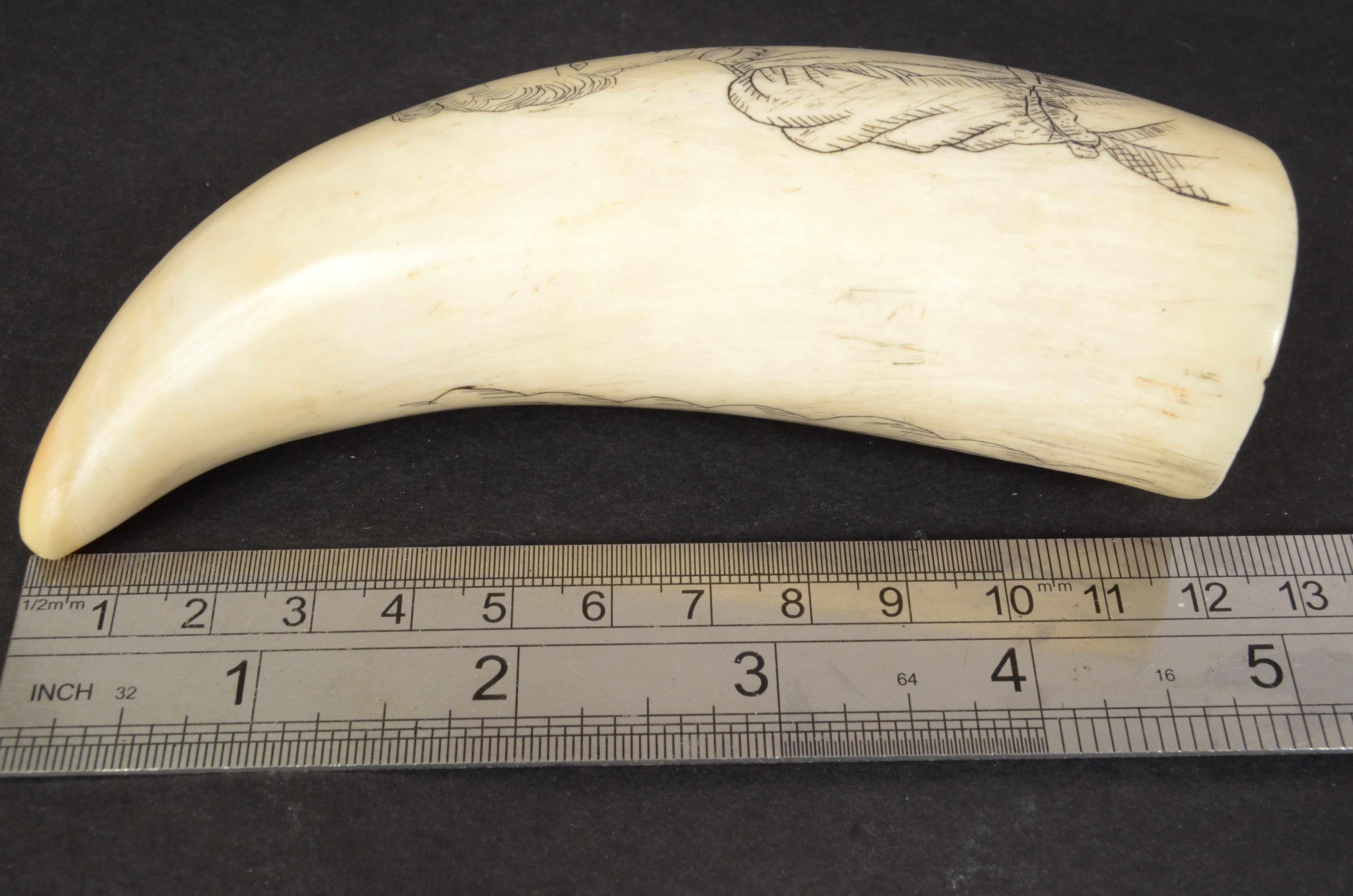 Teeth 19th Century Scrimshaw Engraved Whale Tooth Antique Original Marine Artcraft