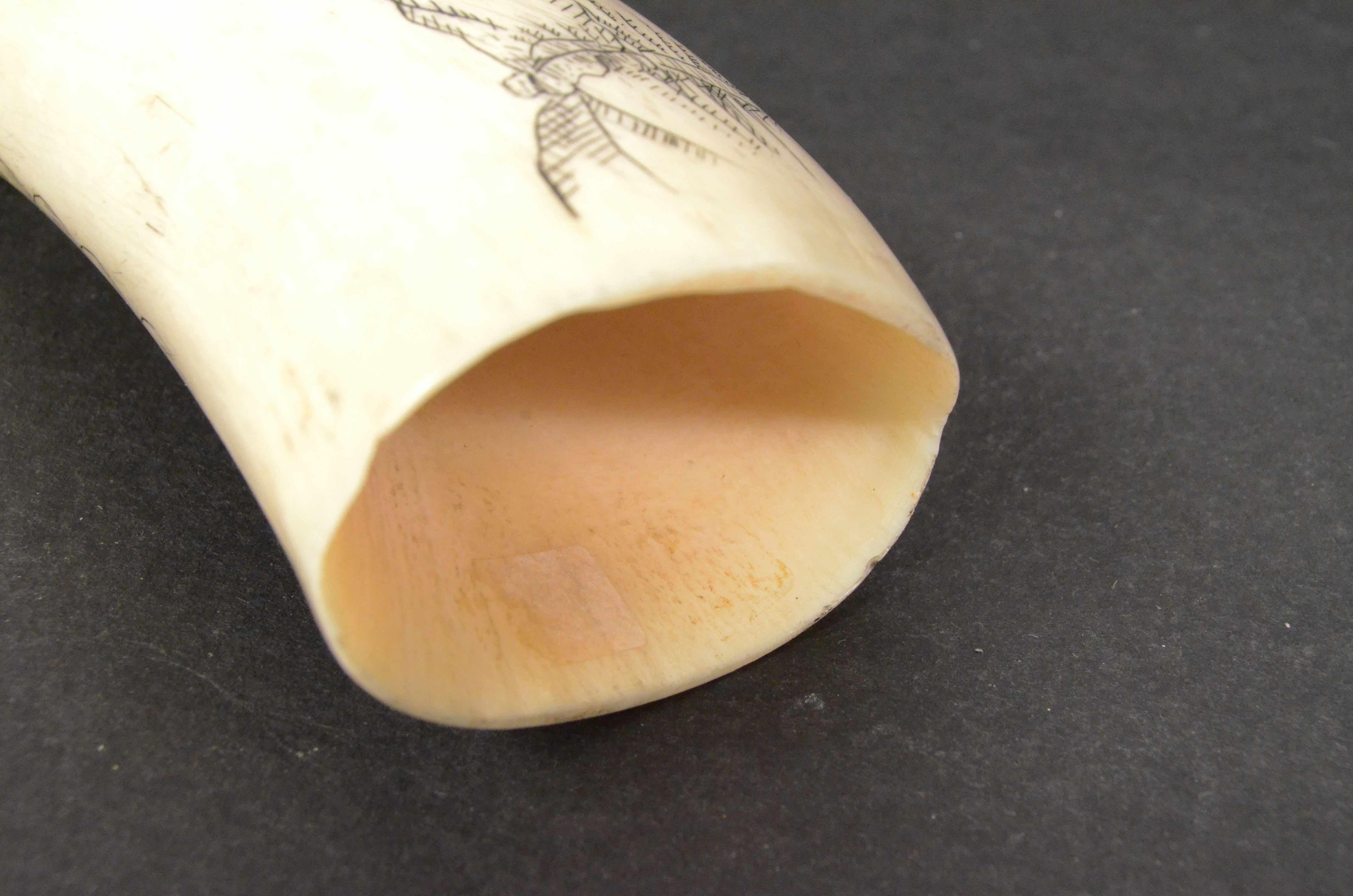 19th Century Scrimshaw Engraved Whale Tooth Antique Original Marine Artcraft 1