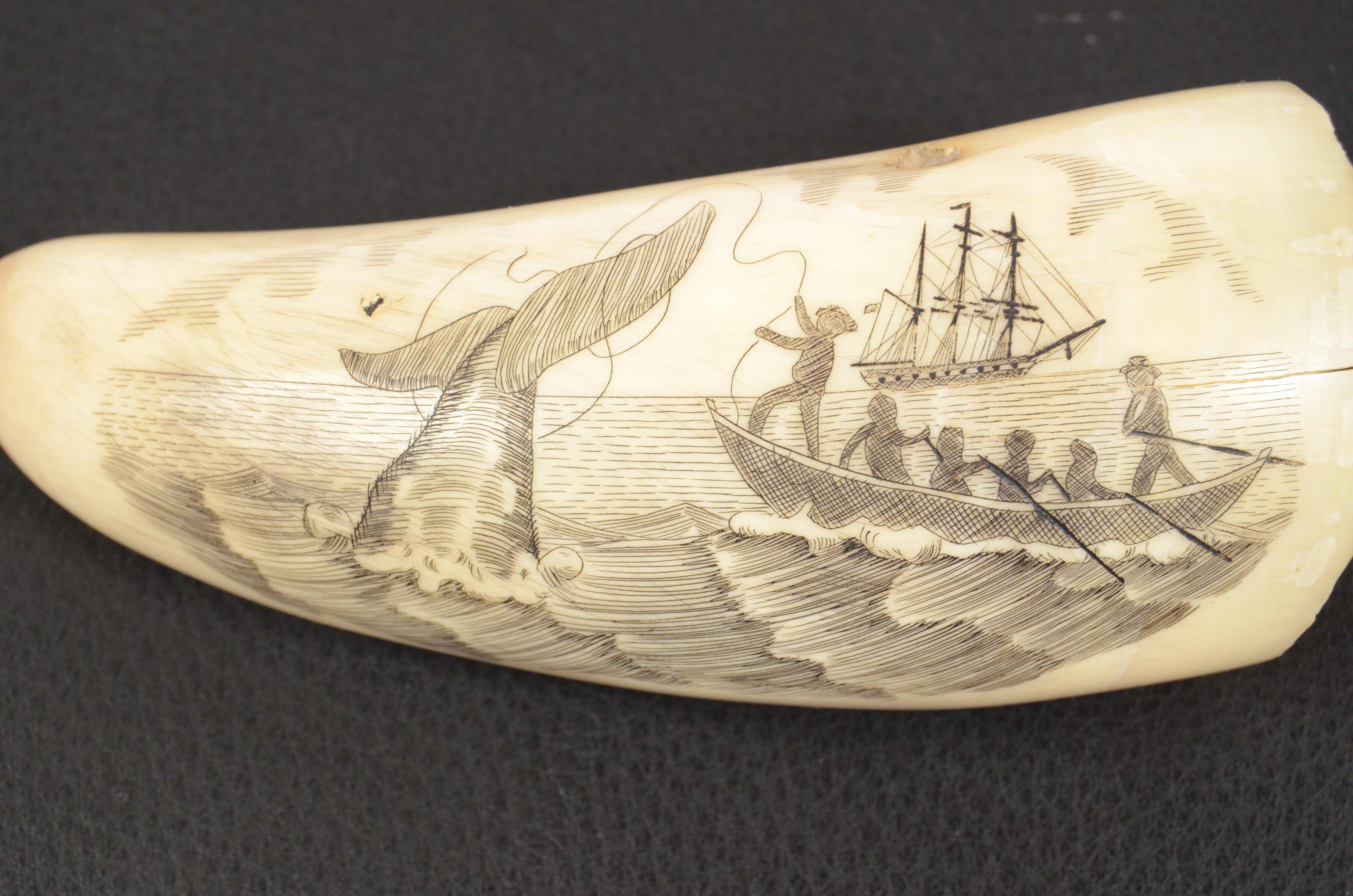 19th Century Scrimshaw Engraved Whale Tooth Fine Antique Nautical Workmanship  In Good Condition In Milan, IT