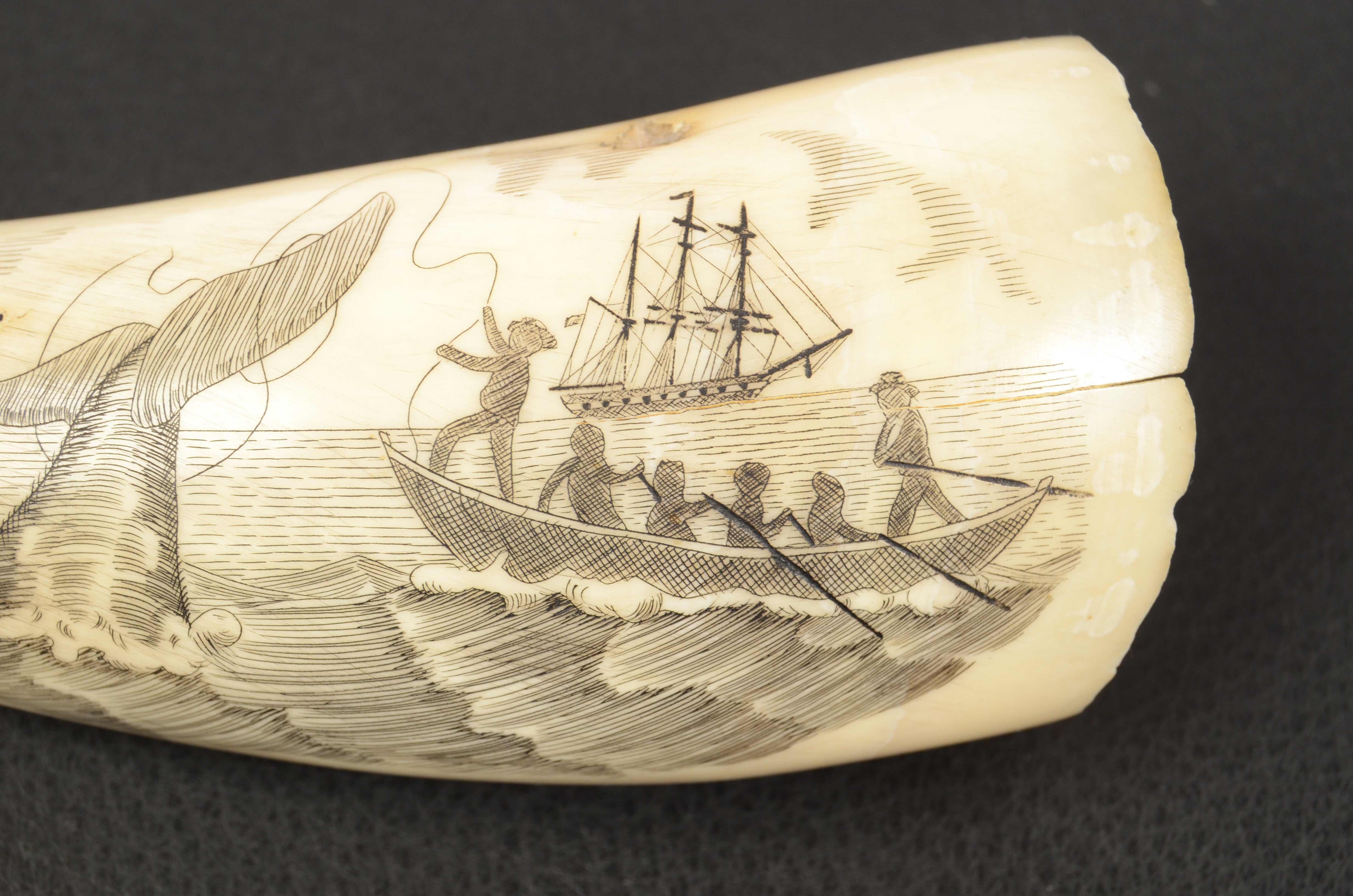 Mid-19th Century 19th Century Scrimshaw Engraved Whale Tooth Fine Antique Nautical Workmanship 