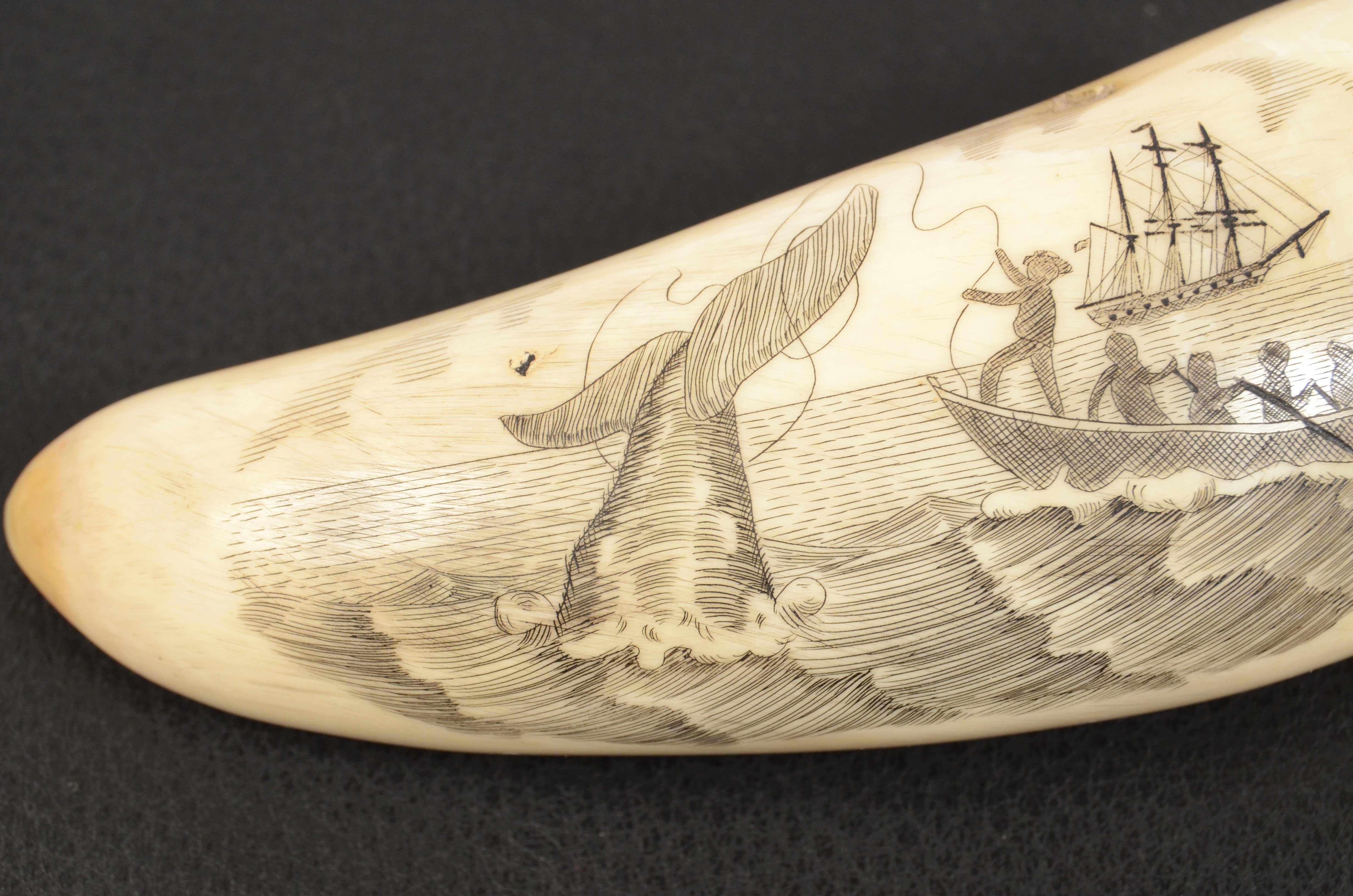 Bone 19th Century Scrimshaw Engraved Whale Tooth Fine Antique Nautical Workmanship 