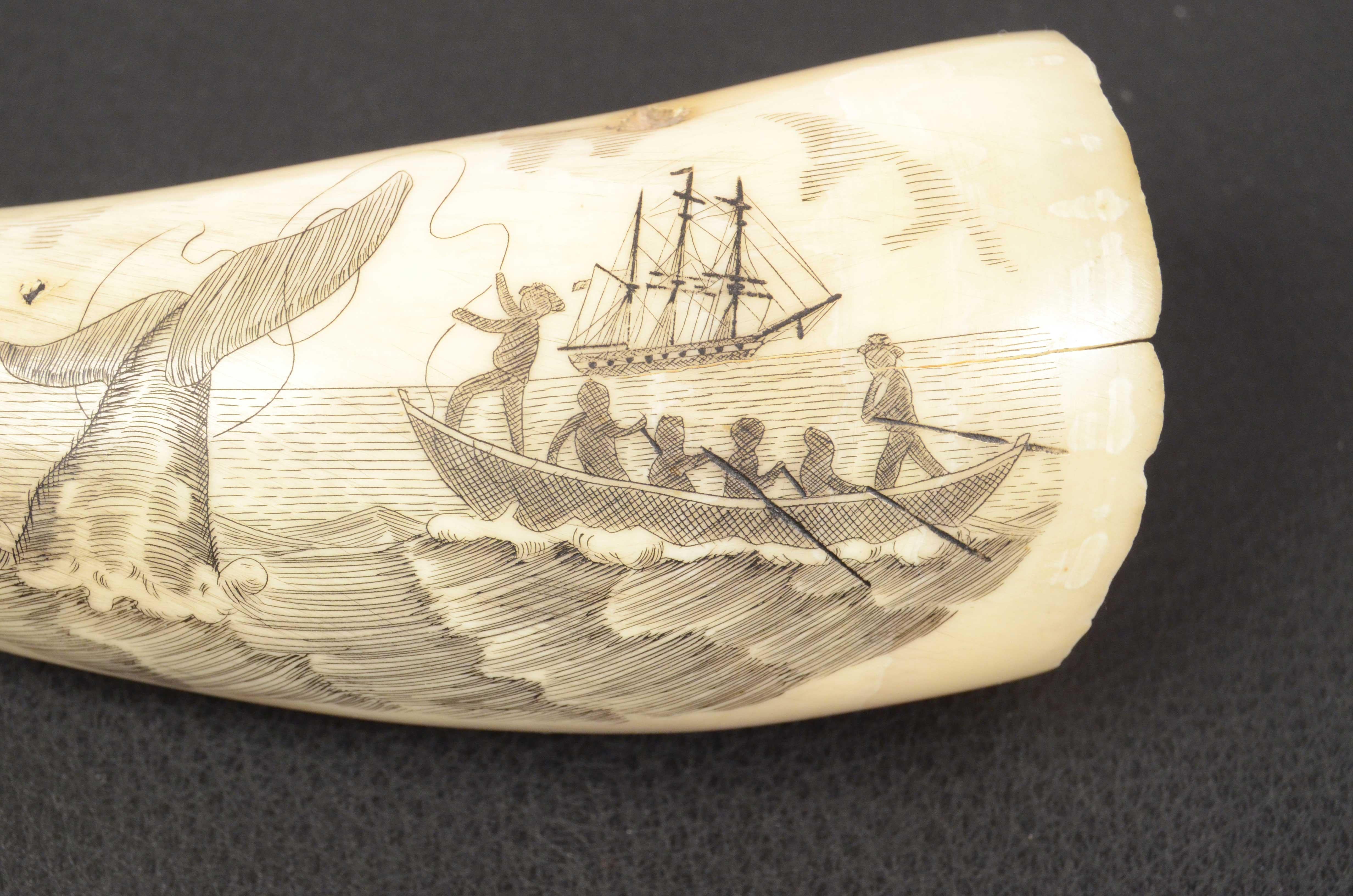 19th Century Scrimshaw Engraved Whale Tooth Fine Antique Nautical Workmanship  2