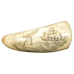 19th Century Scrimshaw Engraved Whale Tooth Fine Antique Nautical Workmanship 