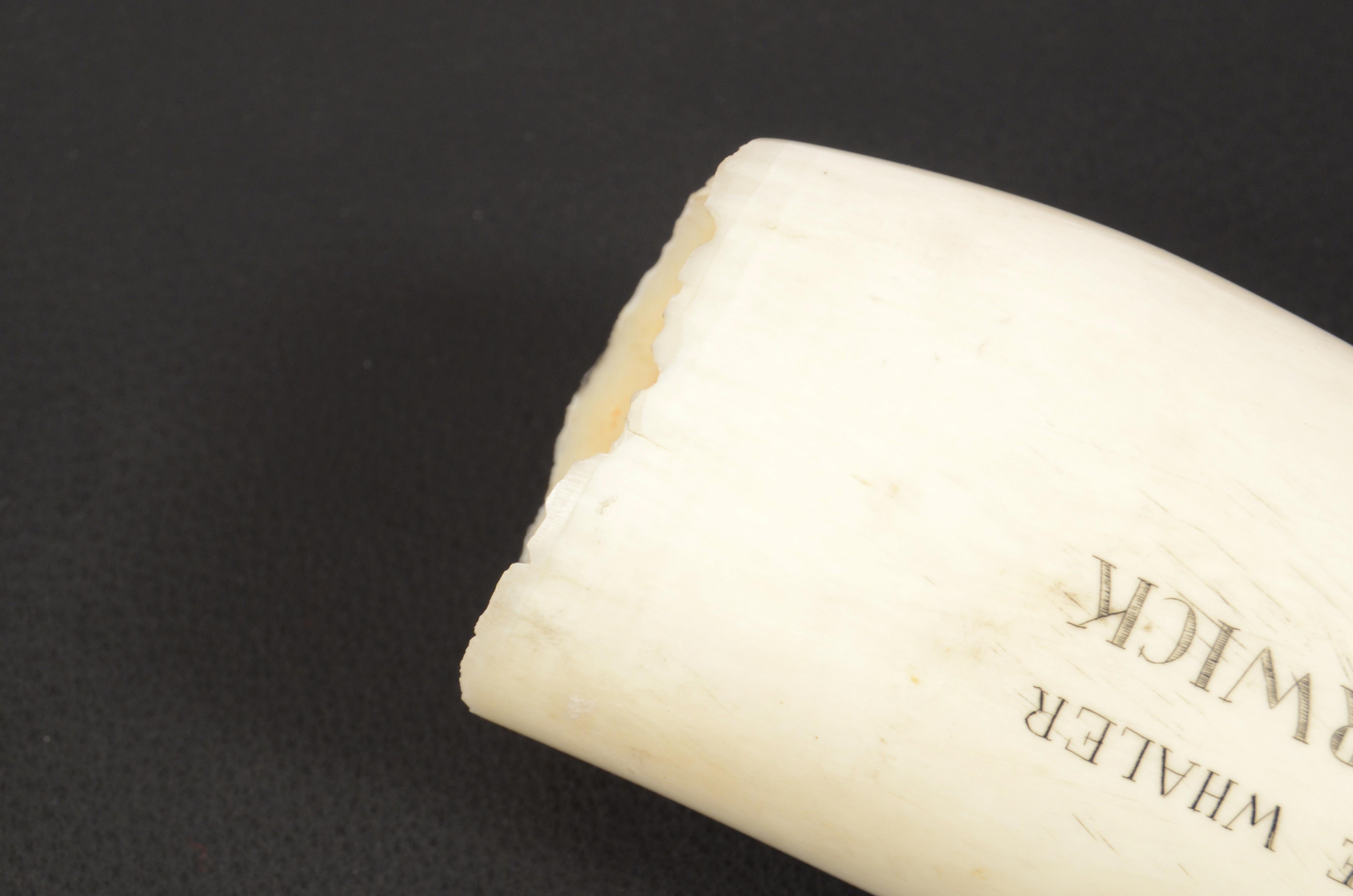 19th Century Scrimshaw of an Engraved Whale Tooth Antique Nautical Workmanship 5