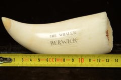 19th Century Scrimshaw of an Engraved Whale Tooth Antique Nautical Workmanship