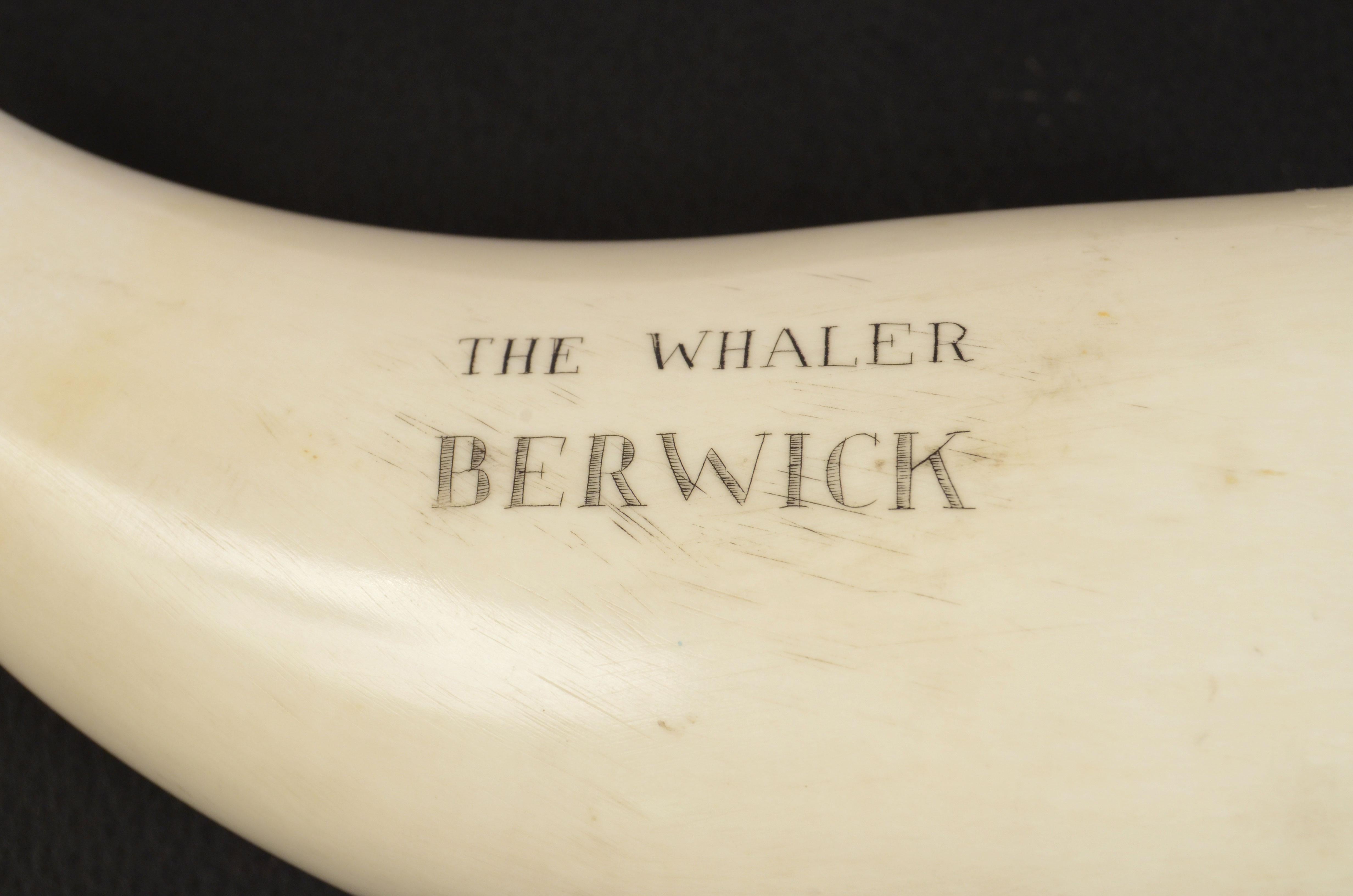 19th Century Scrimshaw of an Engraved Whale Tooth Antique Nautical Workmanship 2