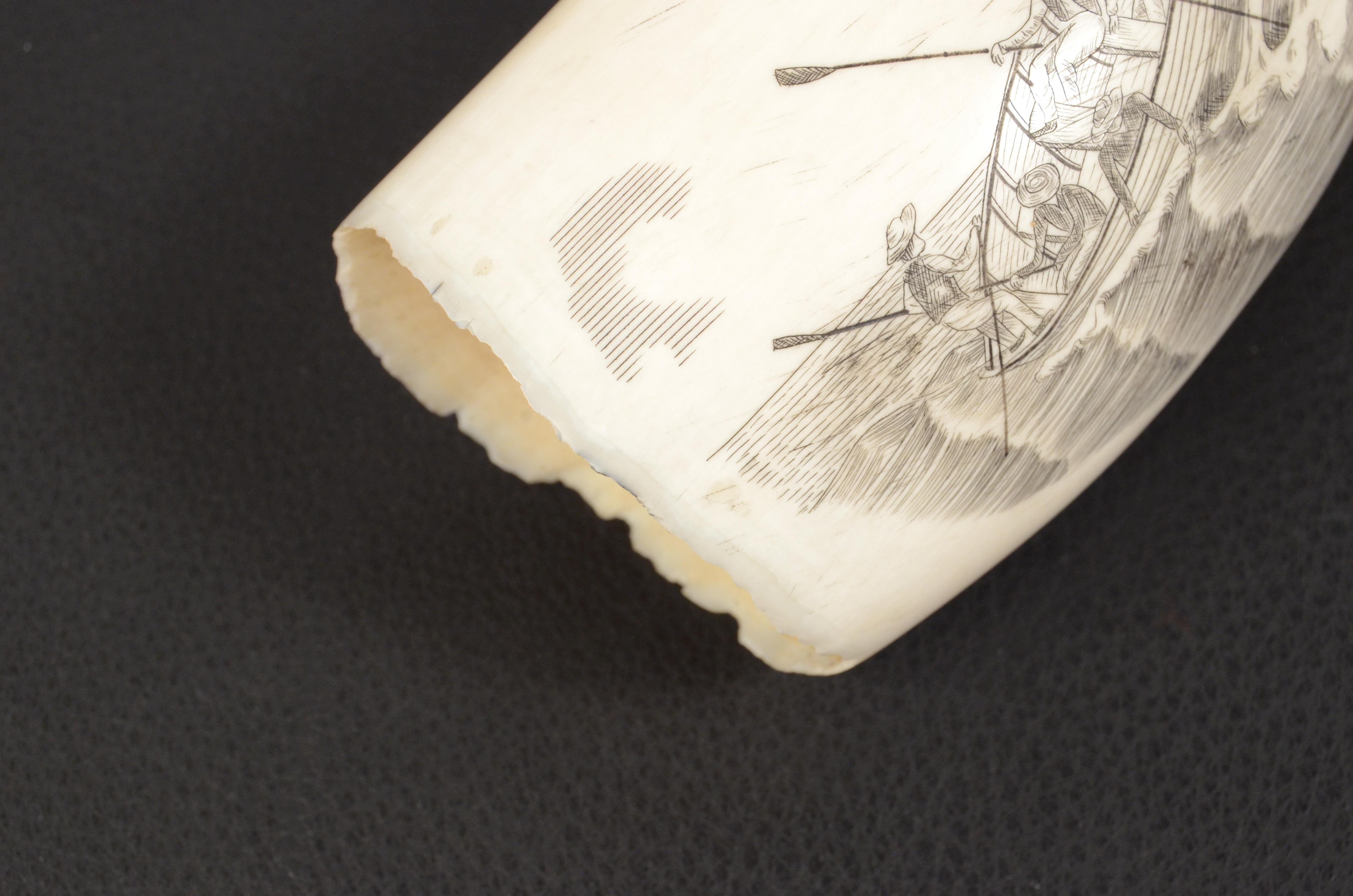 19th Century Scrimshaw of an Engraved Whale Tooth Antique Nautical Workmanship 4