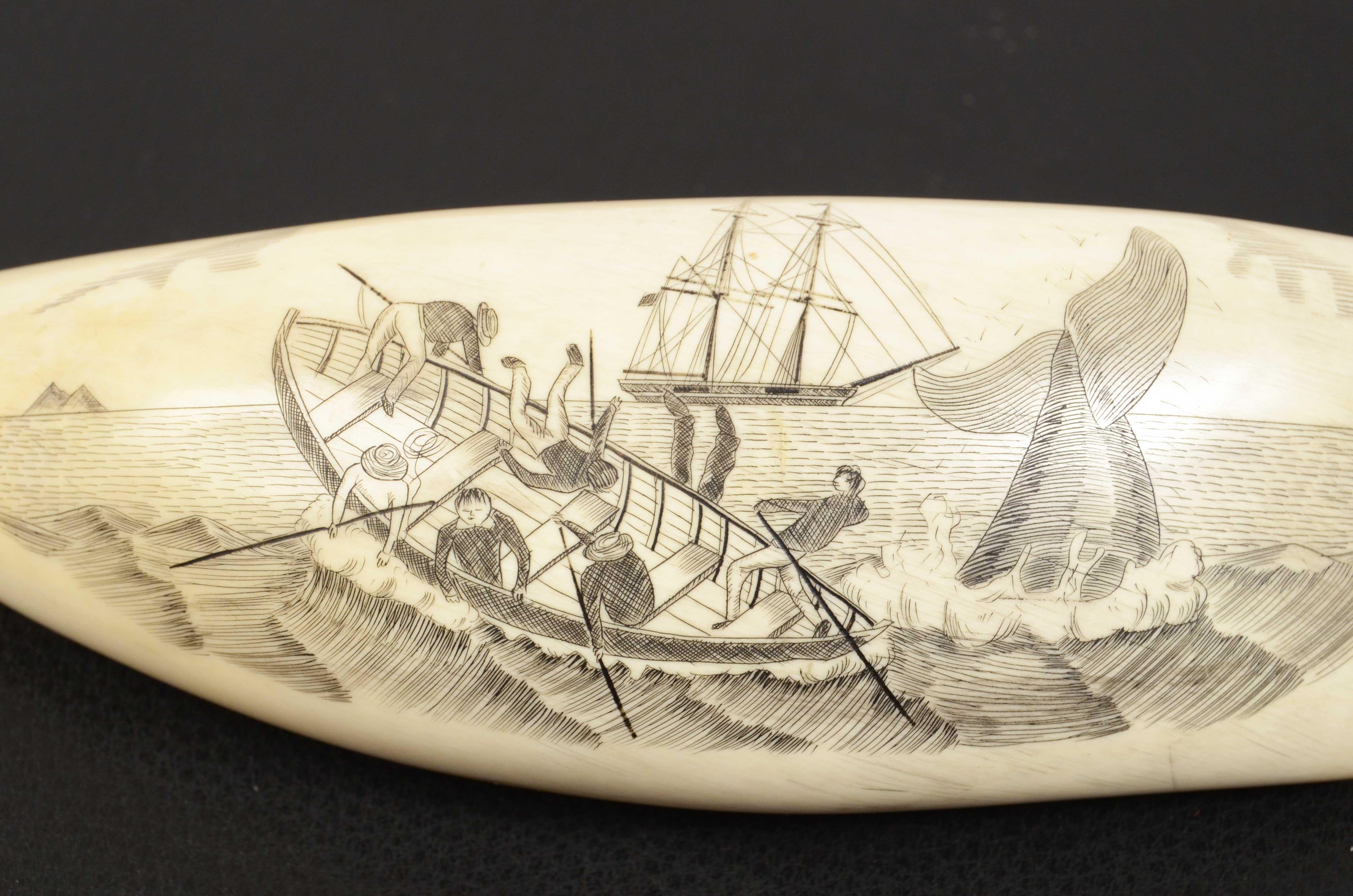 19th Century Scrimshaw of Antique Engraved Whale Tooth Fine Nautical Workmanship In Good Condition In Milan, IT