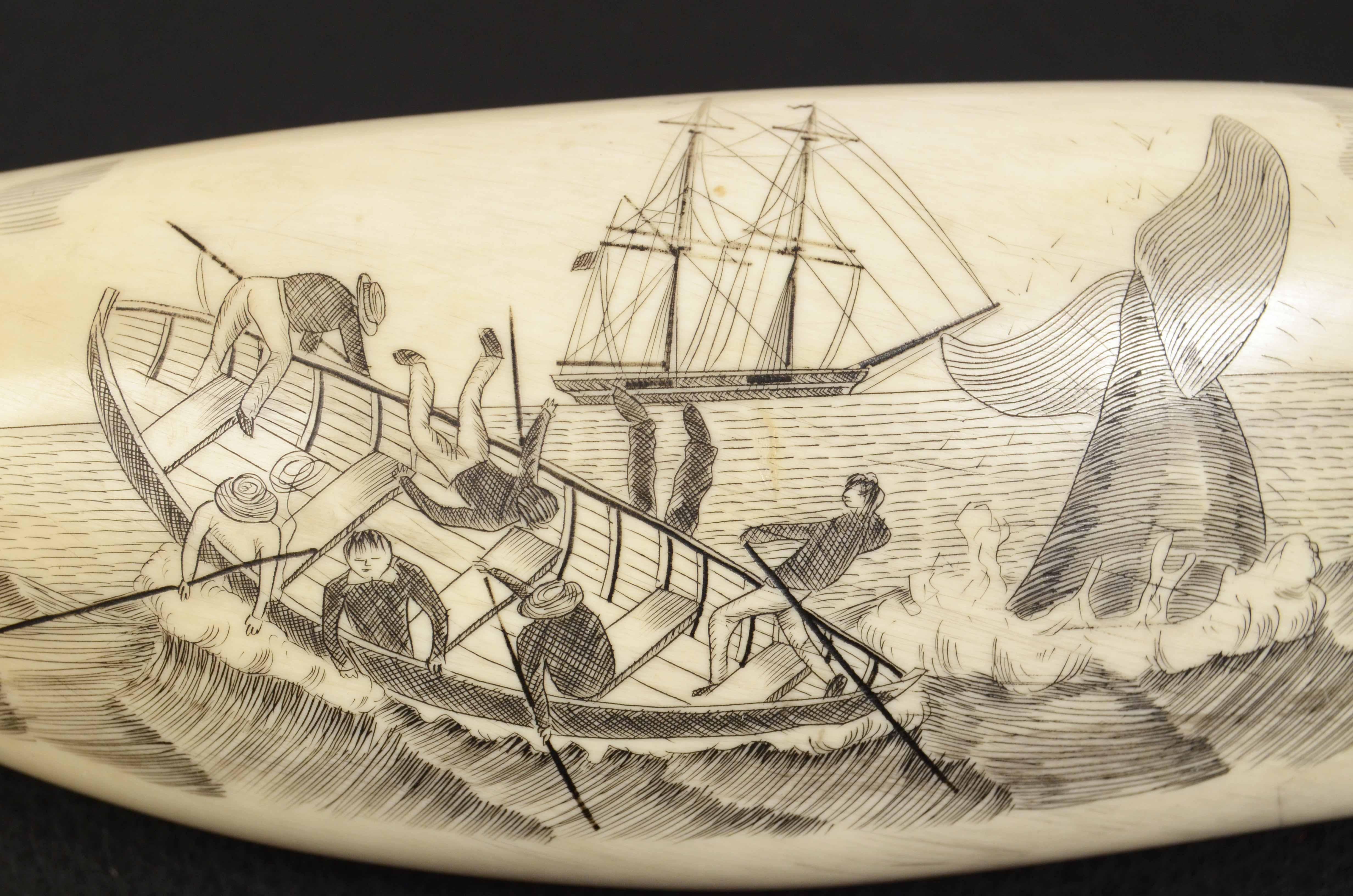 Mid-19th Century 19th Century Scrimshaw of Antique Engraved Whale Tooth Fine Nautical Workmanship
