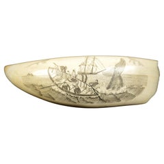 Scrimshaw aus antikem, graviertem Walzahn, feine, nautische Verarbeitung, 19. Jahrhundert