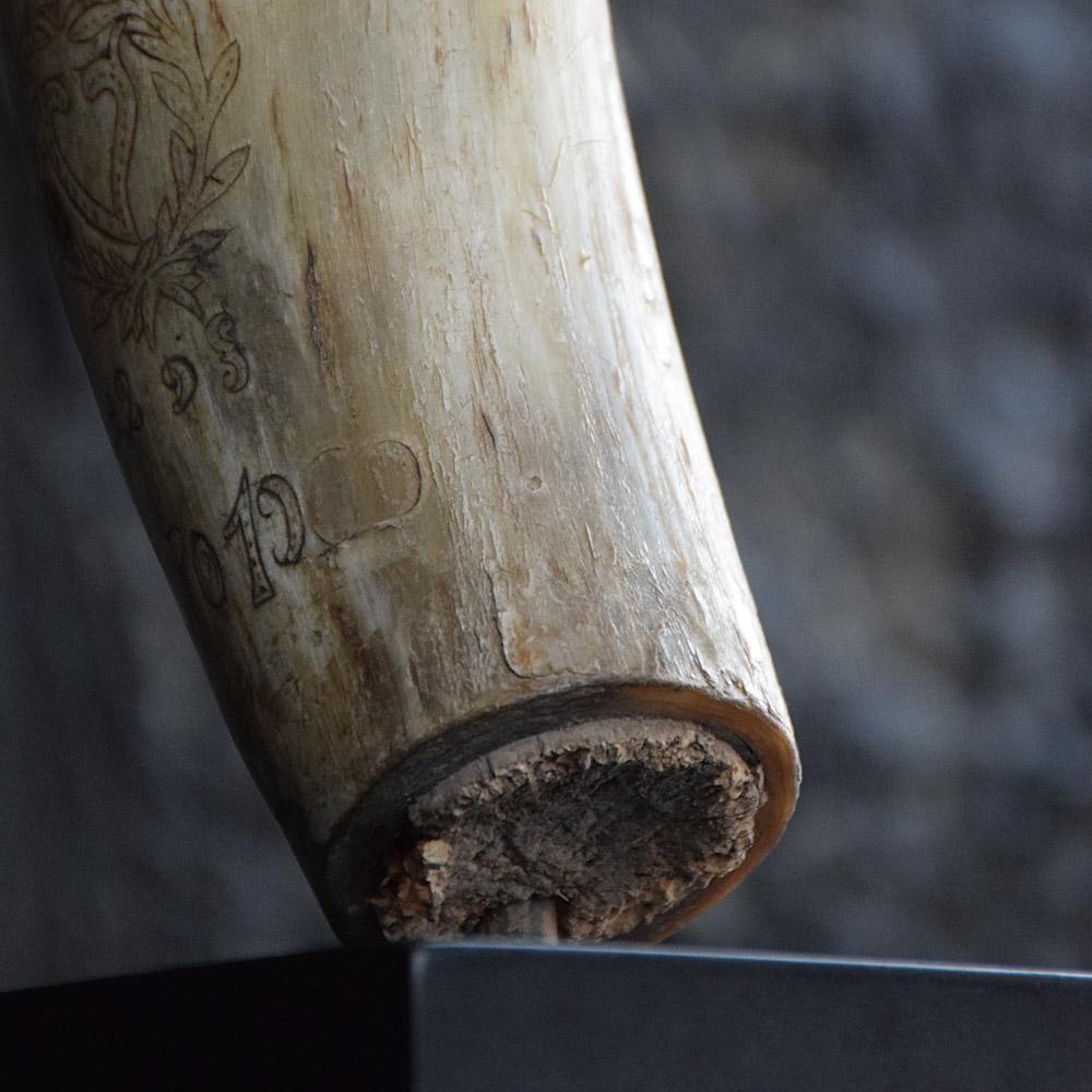 Bone 19th Century Scrimshaw Spanish Powder Horn