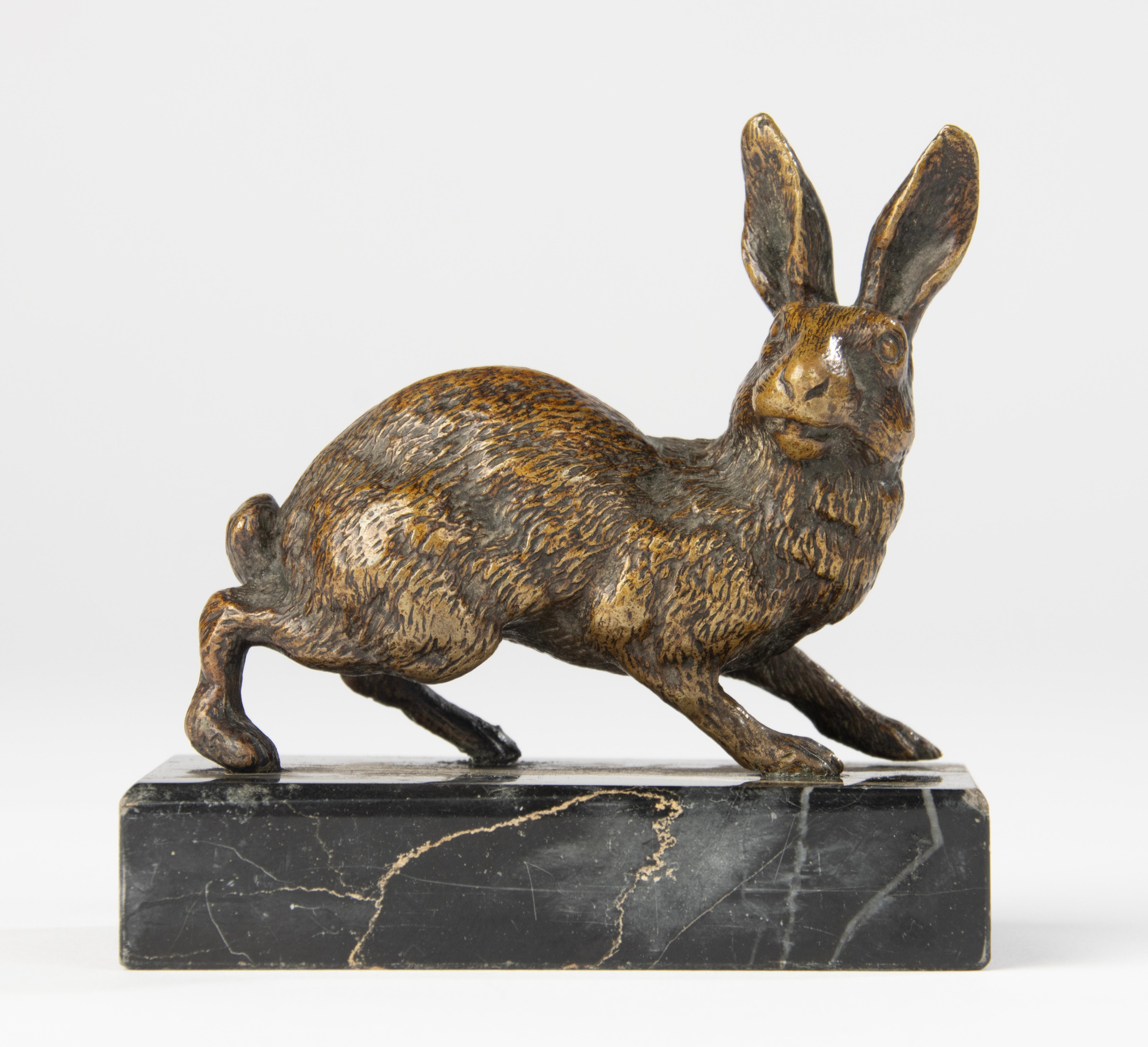 Una vivace ed espressiva scultura in bronzo del XIX secolo raffigurante una lepre in movimento, colta a metà del passo con le orecchie all'erta e il corpo girato come se si fermasse a metà del salto. La superficie è riccamente strutturata, con una