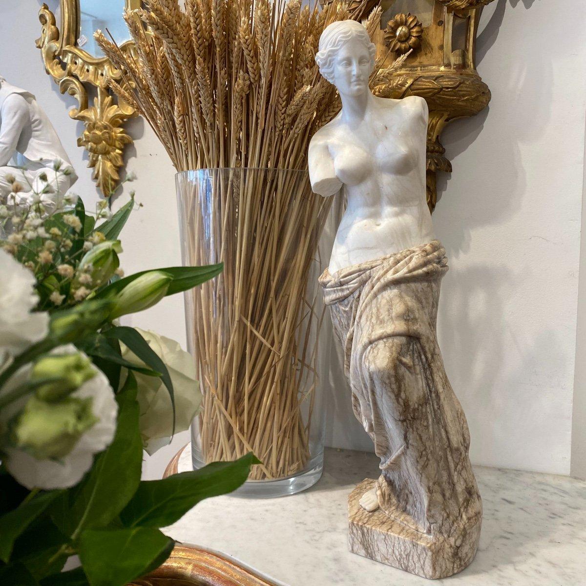19th Century Sculpture Modelled after Venus de Milo in Veined & Carrara Marble  For Sale 5