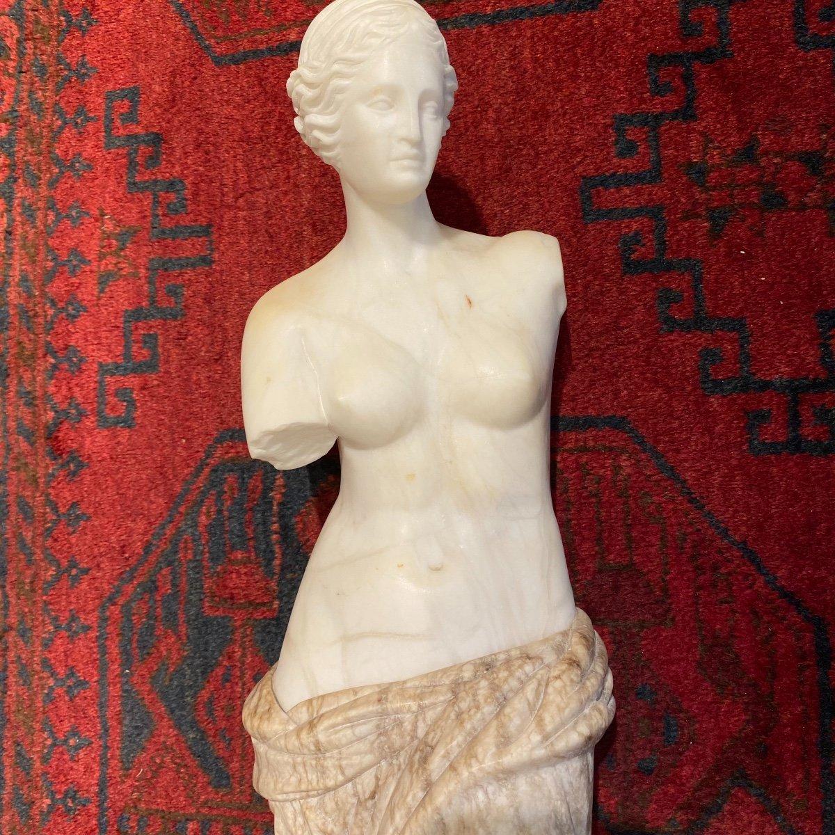 19th Century Sculpture Modelled after Venus de Milo in Veined & Carrara Marble  For Sale 6