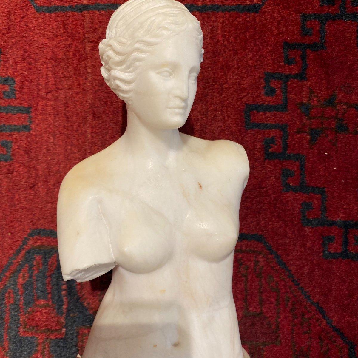 19th Century Sculpture Modelled after Venus de Milo in Veined & Carrara Marble  For Sale 7