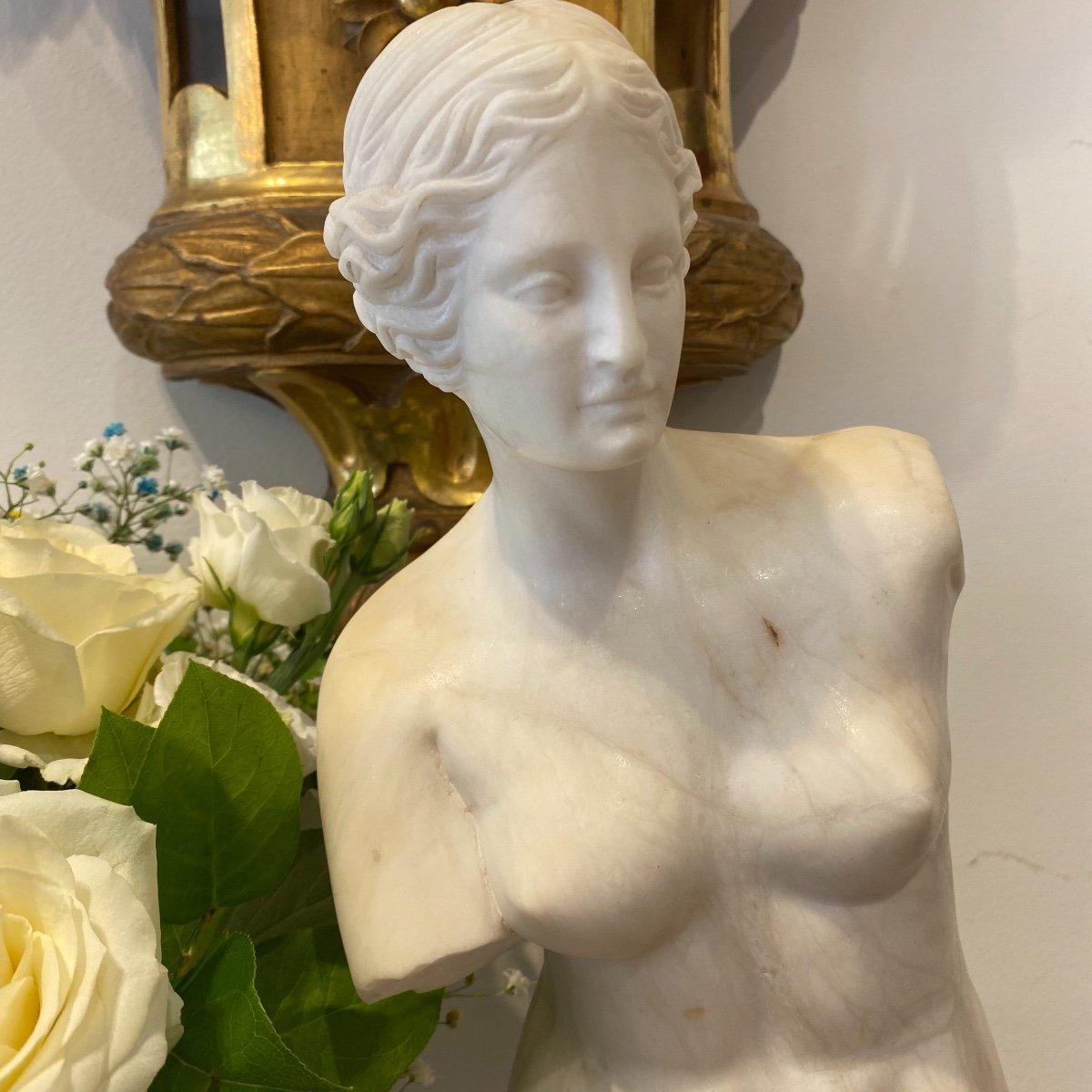 Napoleon III 19th Century Sculpture Modelled after Venus de Milo in Veined & Carrara Marble  For Sale