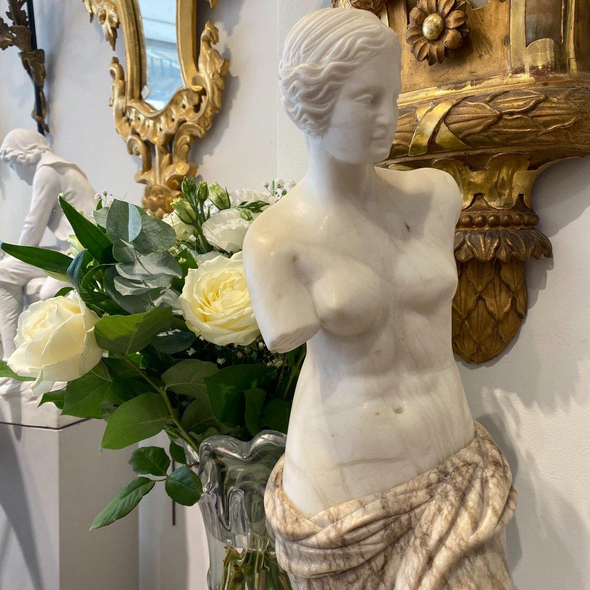 Français Sculpture modelée d'après Vénus de Milo en marbre veined et de Carrare du 19ème siècle  en vente