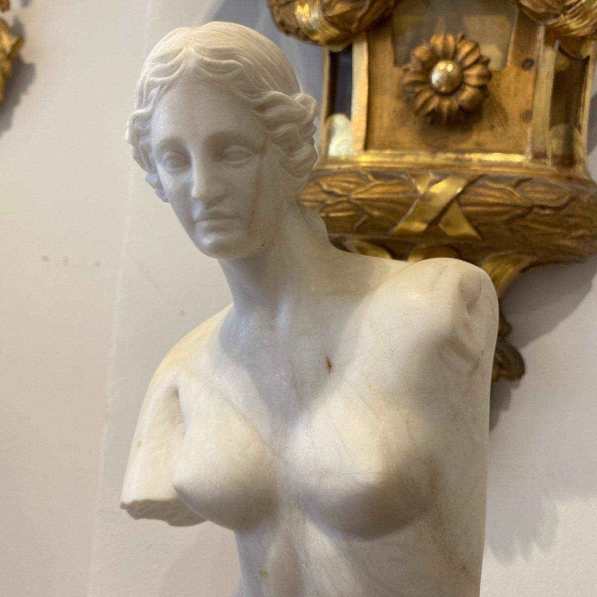 19th Century Sculpture Modelled after Venus de Milo in Veined & Carrara Marble  For Sale 1
