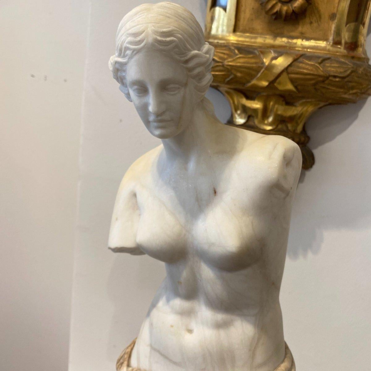 Marbre de Carrare Sculpture modelée d'après Vénus de Milo en marbre veined et de Carrare du 19ème siècle  en vente