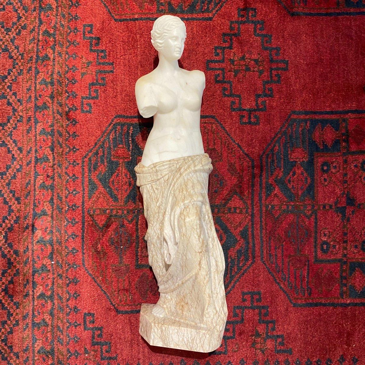 19th Century Sculpture Modelled after Venus de Milo in Veined & Carrara Marble  For Sale 3