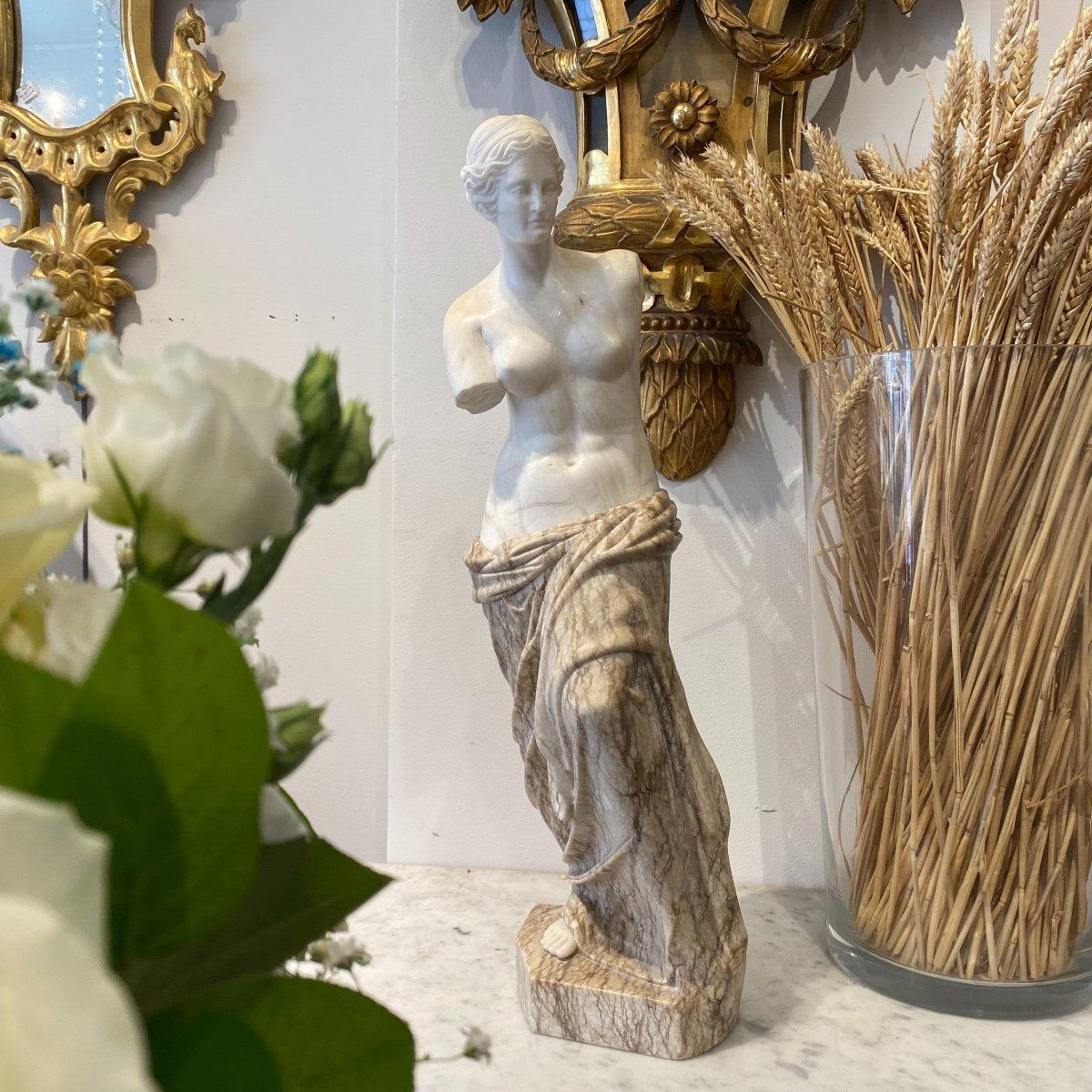 Sculpture modelée d'après Vénus de Milo en marbre veined et de Carrare du 19ème siècle  en vente 2