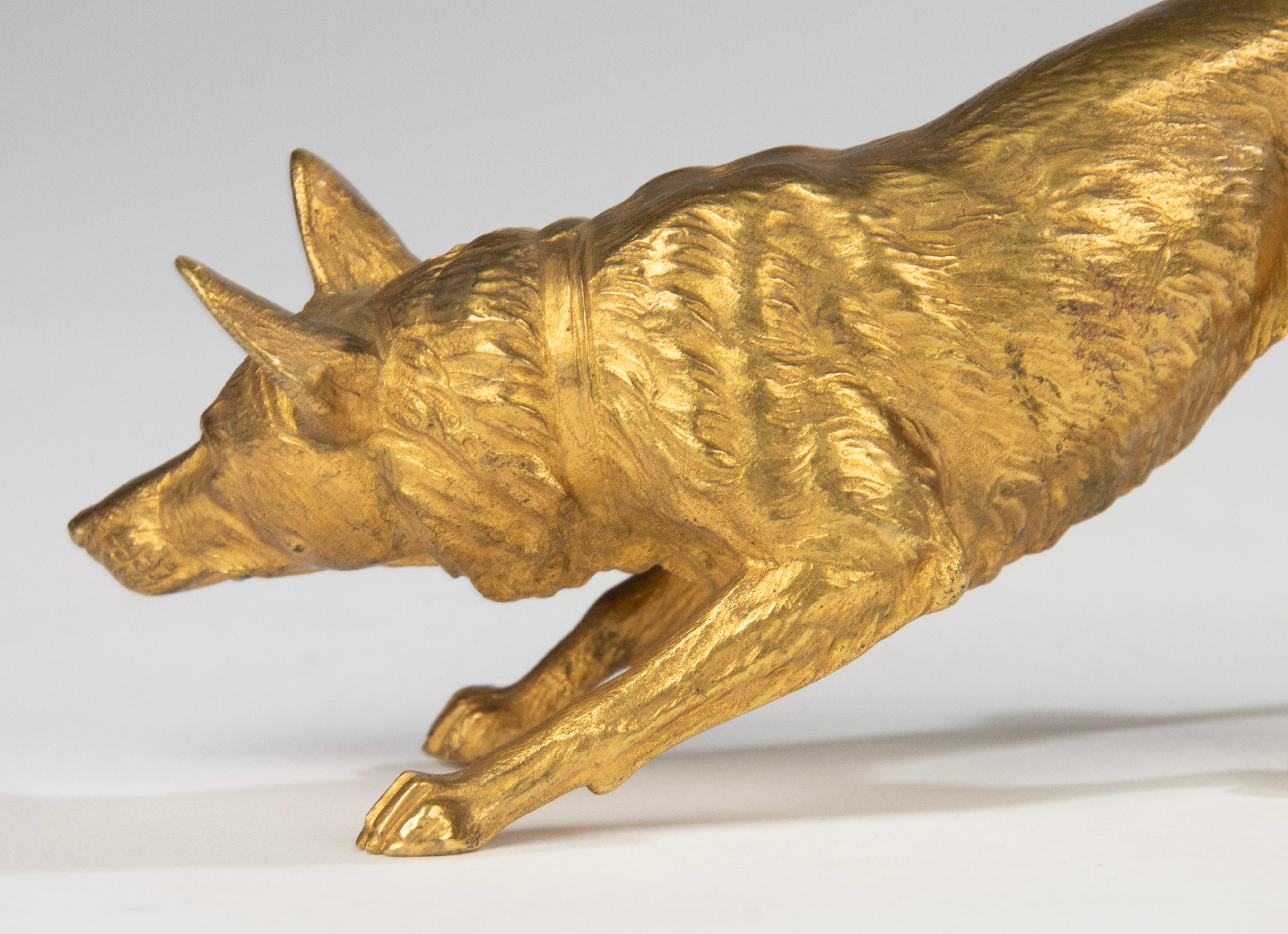 Skulptur eines belgischen Malinois-Schafs aus dem 19. Jahrhundert – Goldbronze vergoldete Bronze 4
