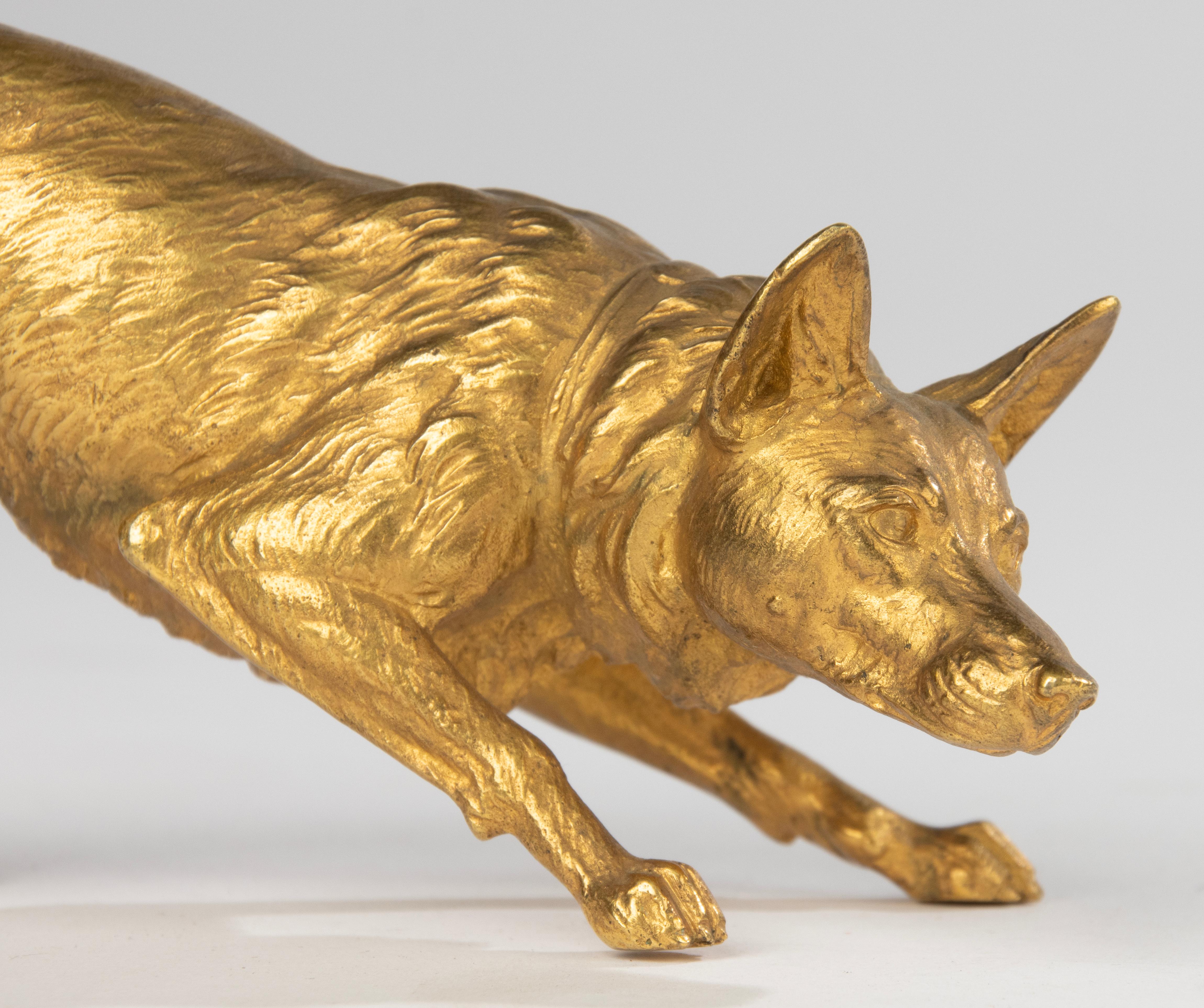 Eine schöne antike Bronzestatue eines belgischen Malinois-Schäferhundes. Ein schönes Stück Handwerkskunst, die Anatomie des Hundes ist sehr genau und lebendig. Sehr raffinierte Bronze, mit viel Liebe zum Detail hergestellt. Die Bronze ist vergoldet,