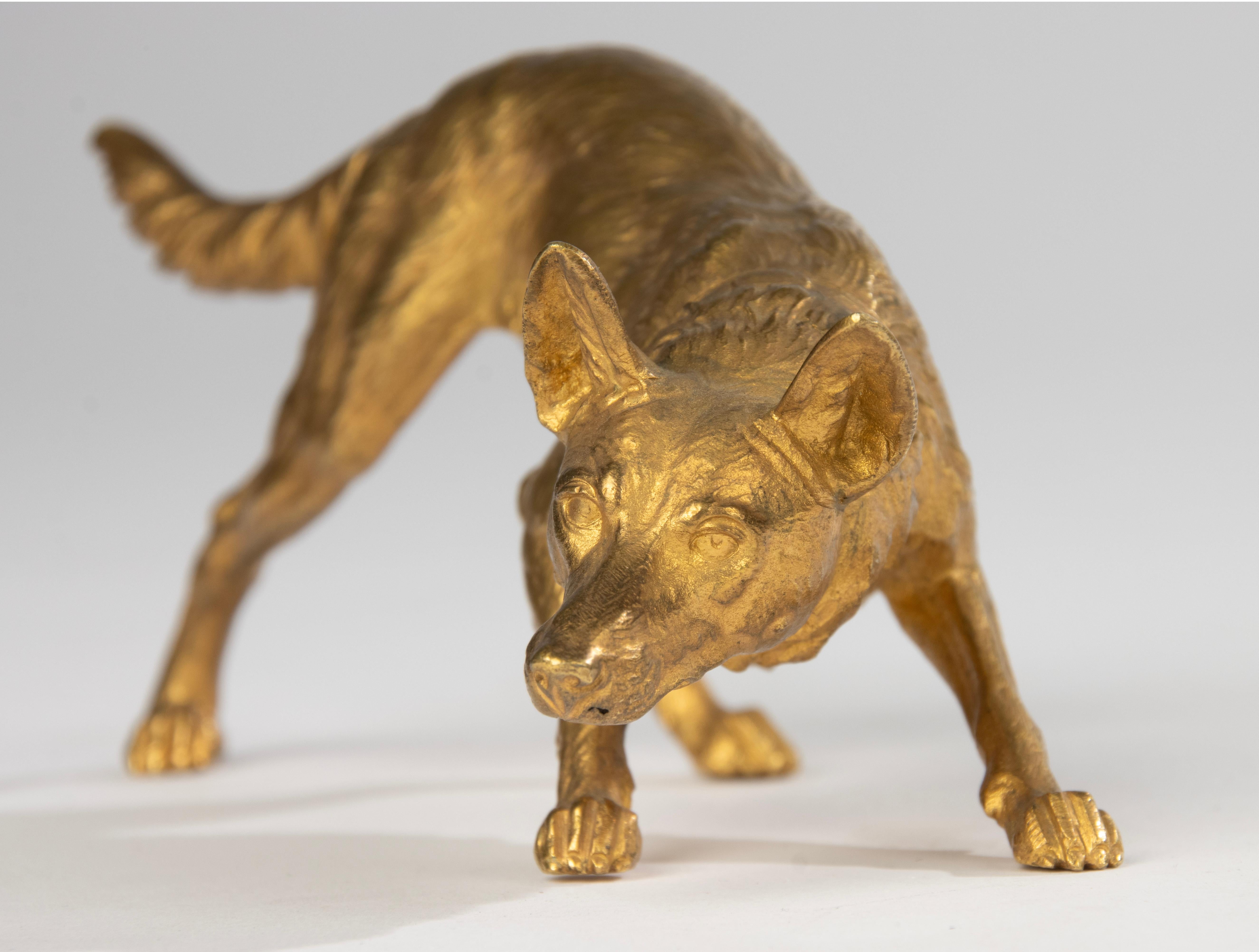 Skulptur eines belgischen Malinois-Schafs aus dem 19. Jahrhundert – Goldbronze vergoldete Bronze 2