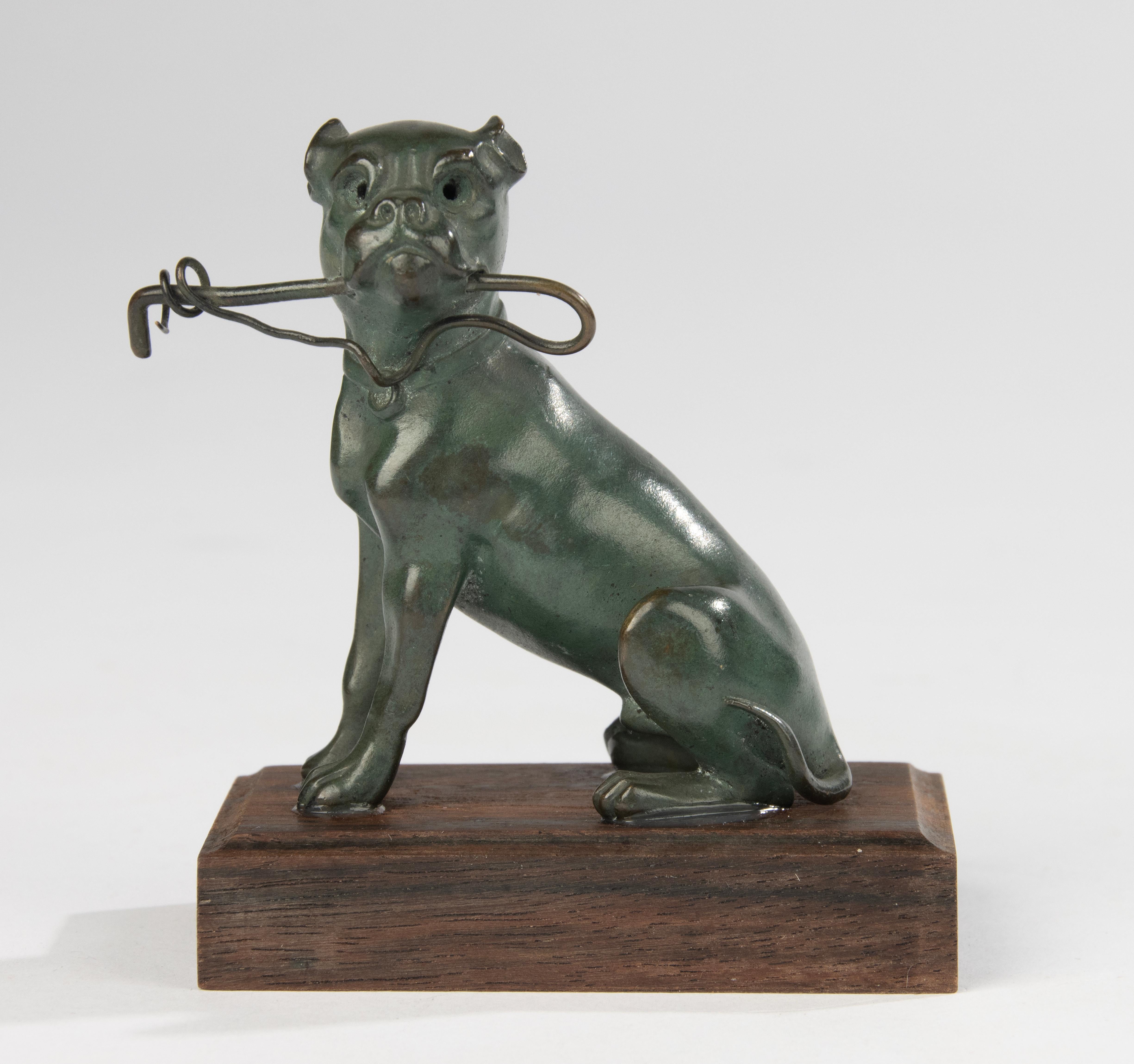 Belle Époque 19th Century Sculpture of a Bulldog - Green Patina - Animal Sculpture For Sale