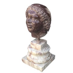 Testa scolpita in marmo antico di Carrara del XIX secolo