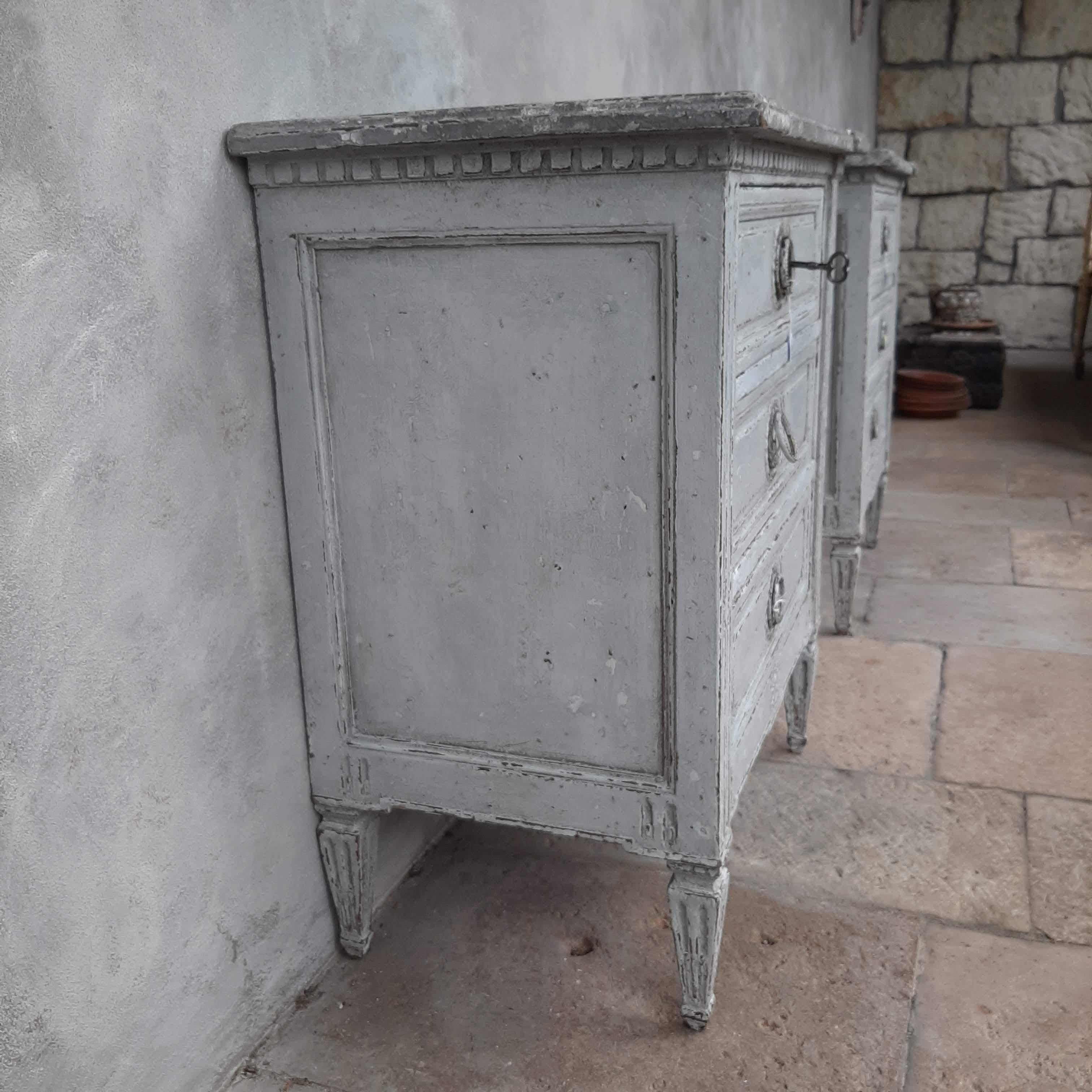 19th Century Set of Antique Drawers in Louis XVI Style of Grey Patinated Oak 2