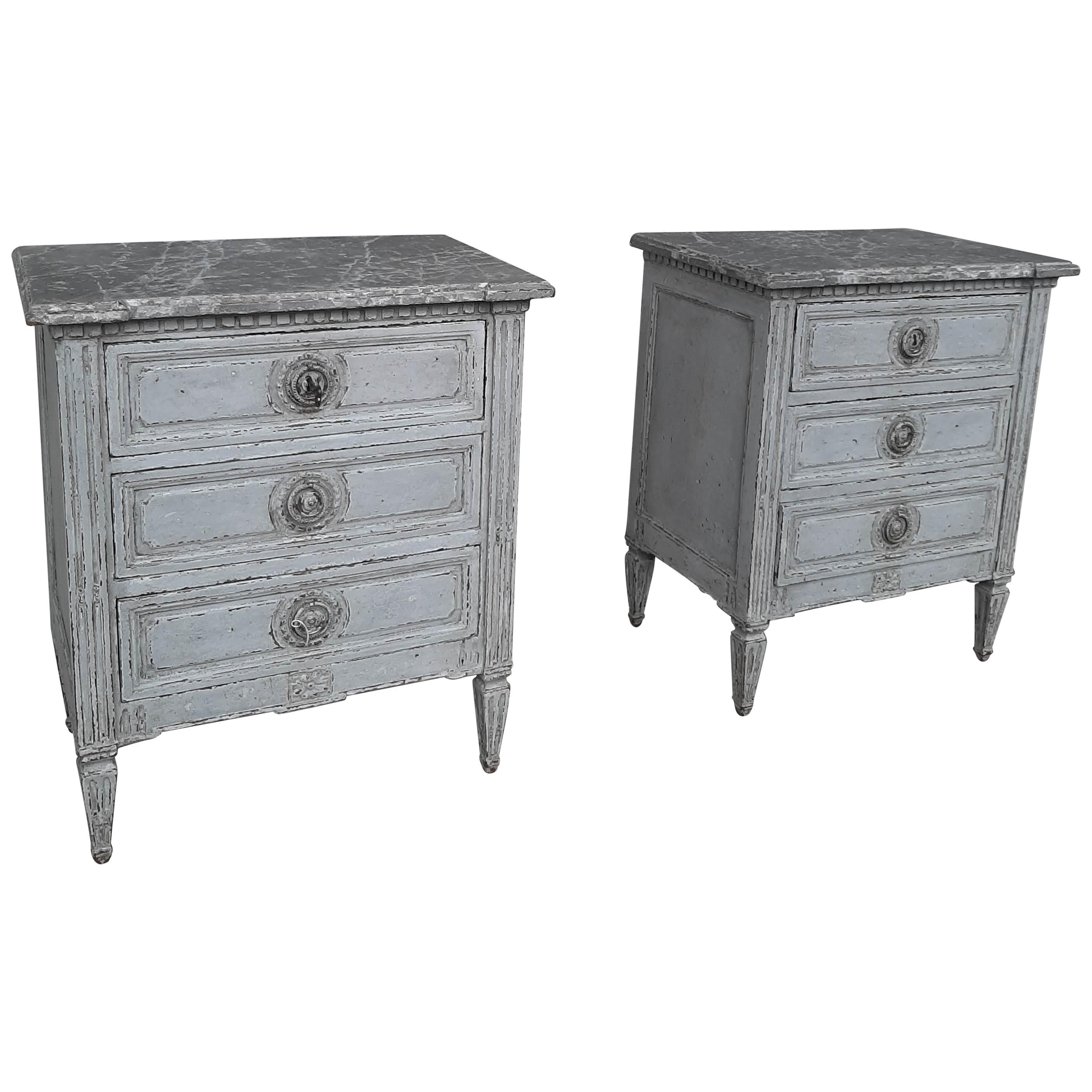 19th Century Set of Antique Drawers in Louis XVI Style of Grey Patinated Oak