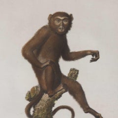 19th Century Set of Six Early Jacob's Monkey Engravings