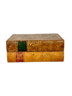 19th Century Faux Book Leather Tantalus and 6 Engraved Crystal Glasses