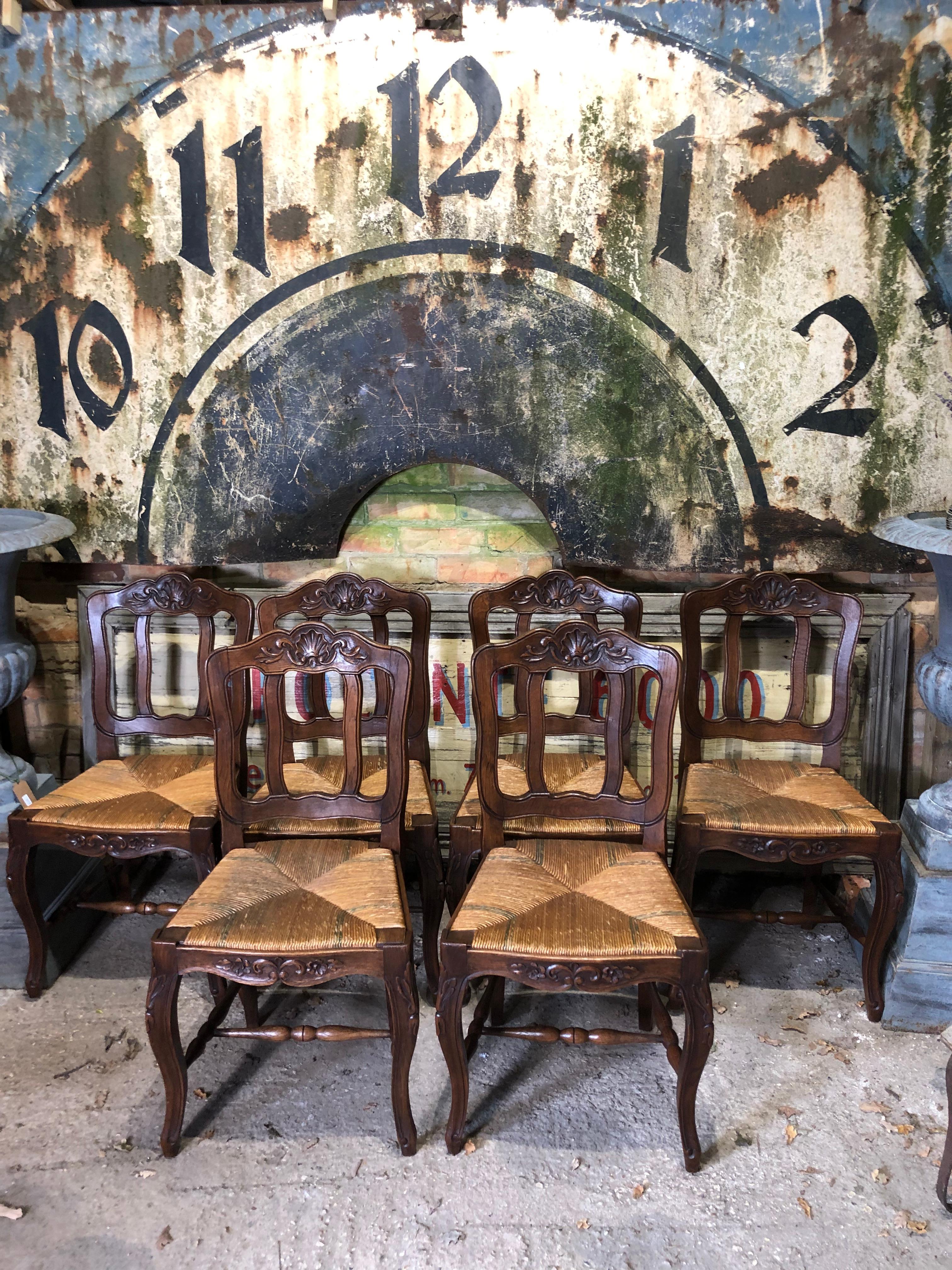 A very handsome, good quality and comfortable 19th century set of six solid oak rush seated dining chairs with carved shell decoration to the top rail and floral carvings to the legs and frame with original dyed decoration to each corner of the rush