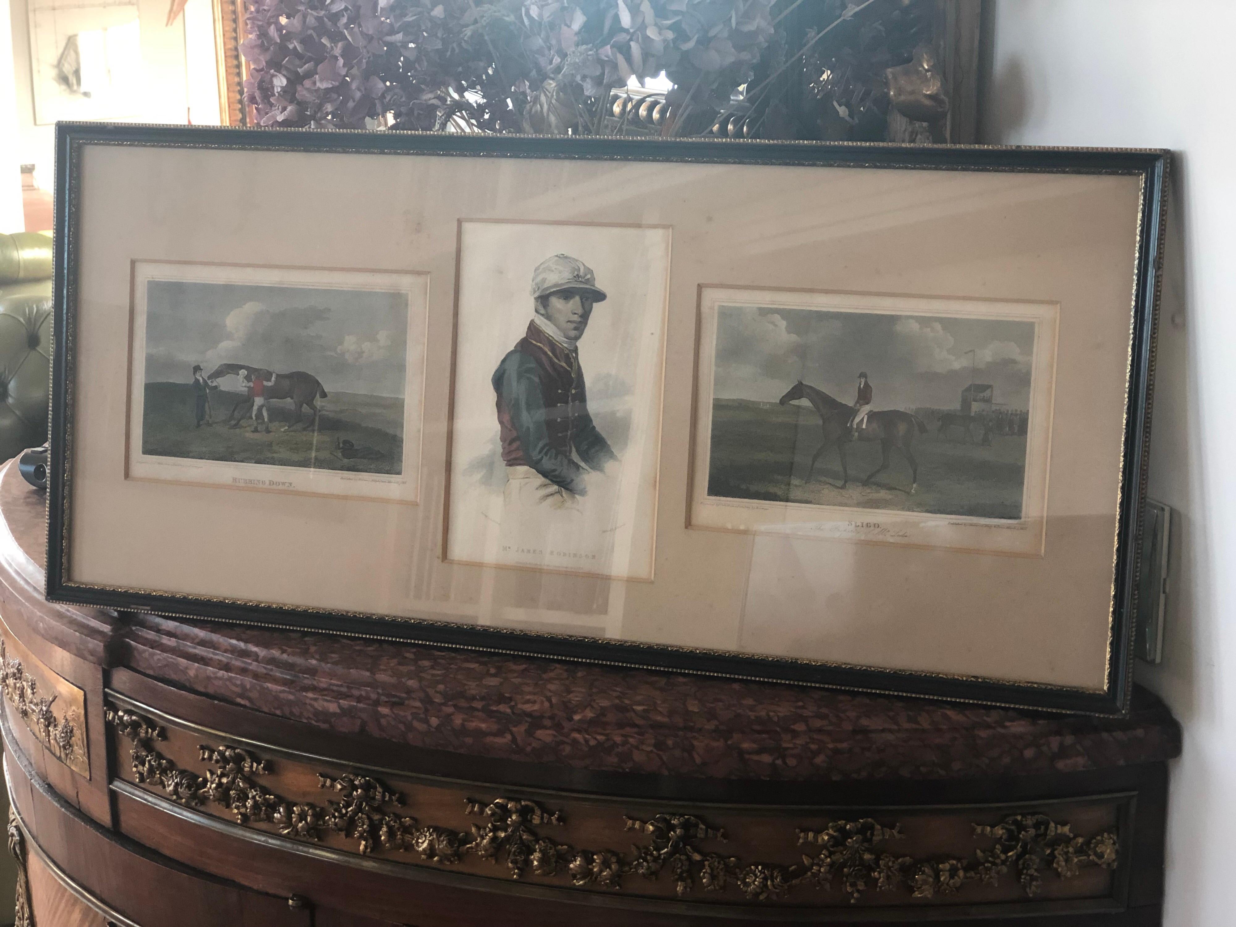 19th Century Set of Three Hand-Coloured Engravings on a Paper, England For Sale 2