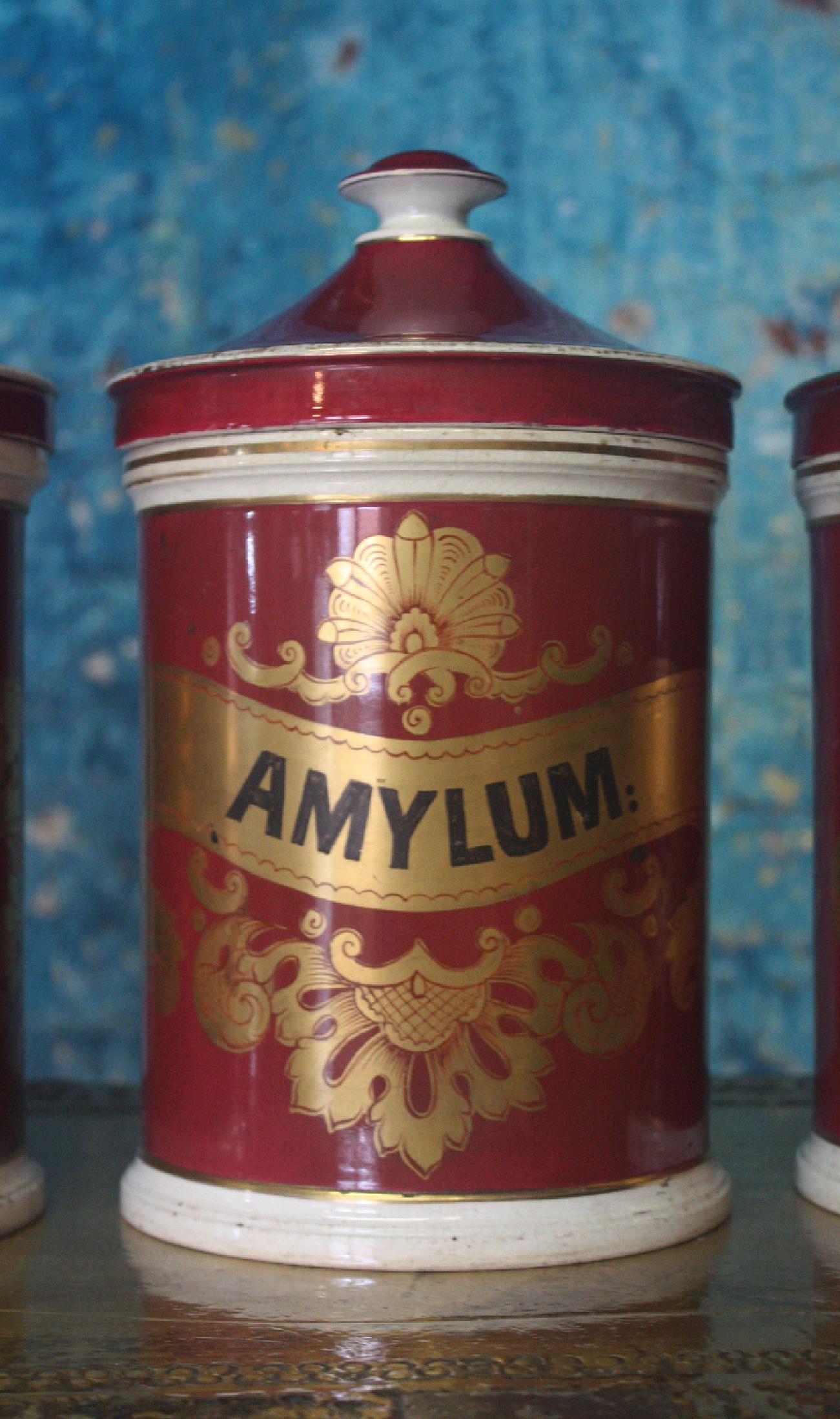19th Century Seven Crimson Pharmacy Apothecary Chemist Dispensing Jars 3