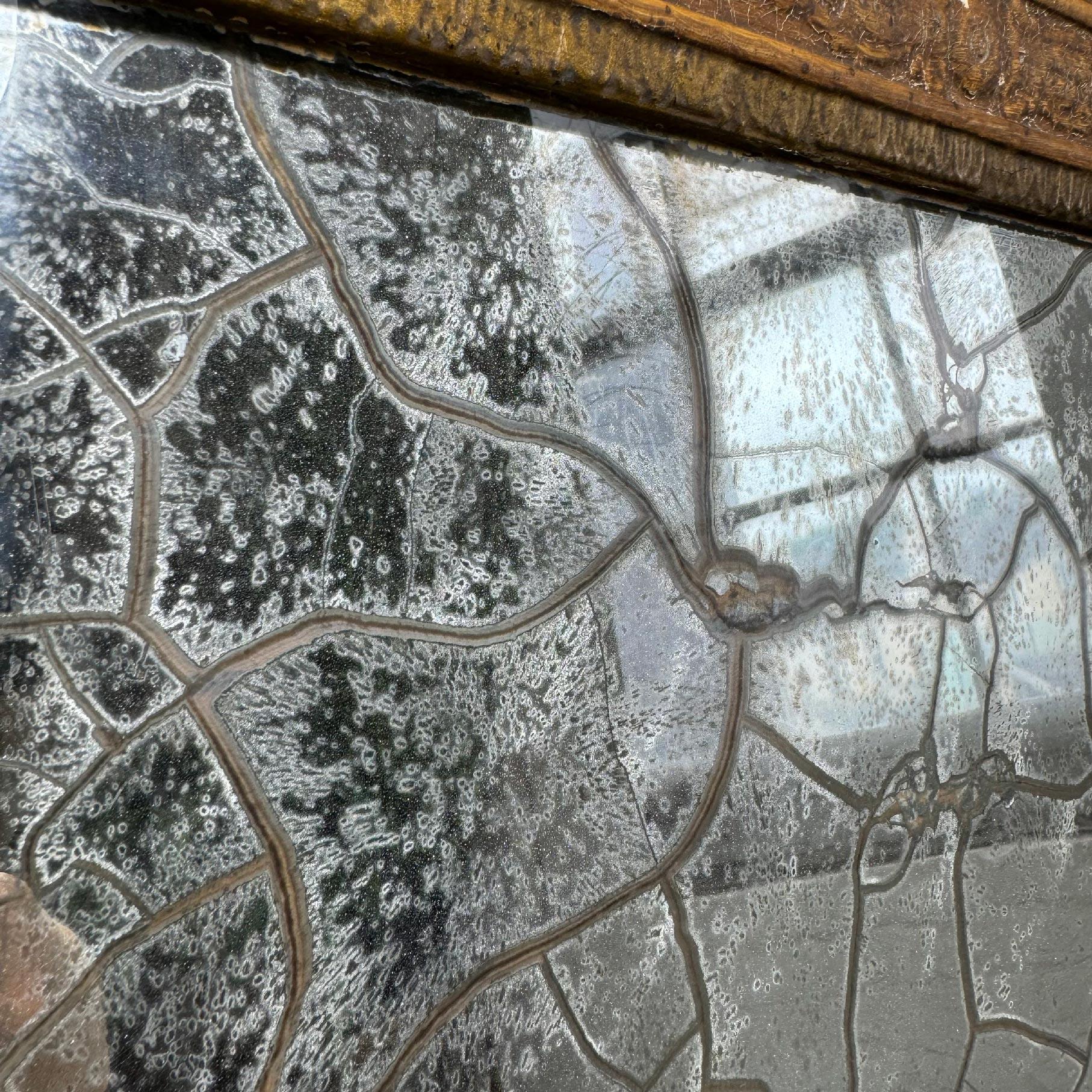 Stile impero Specchio in legno dorato con sfondo in argento e volpe del XIX secolo in vendita