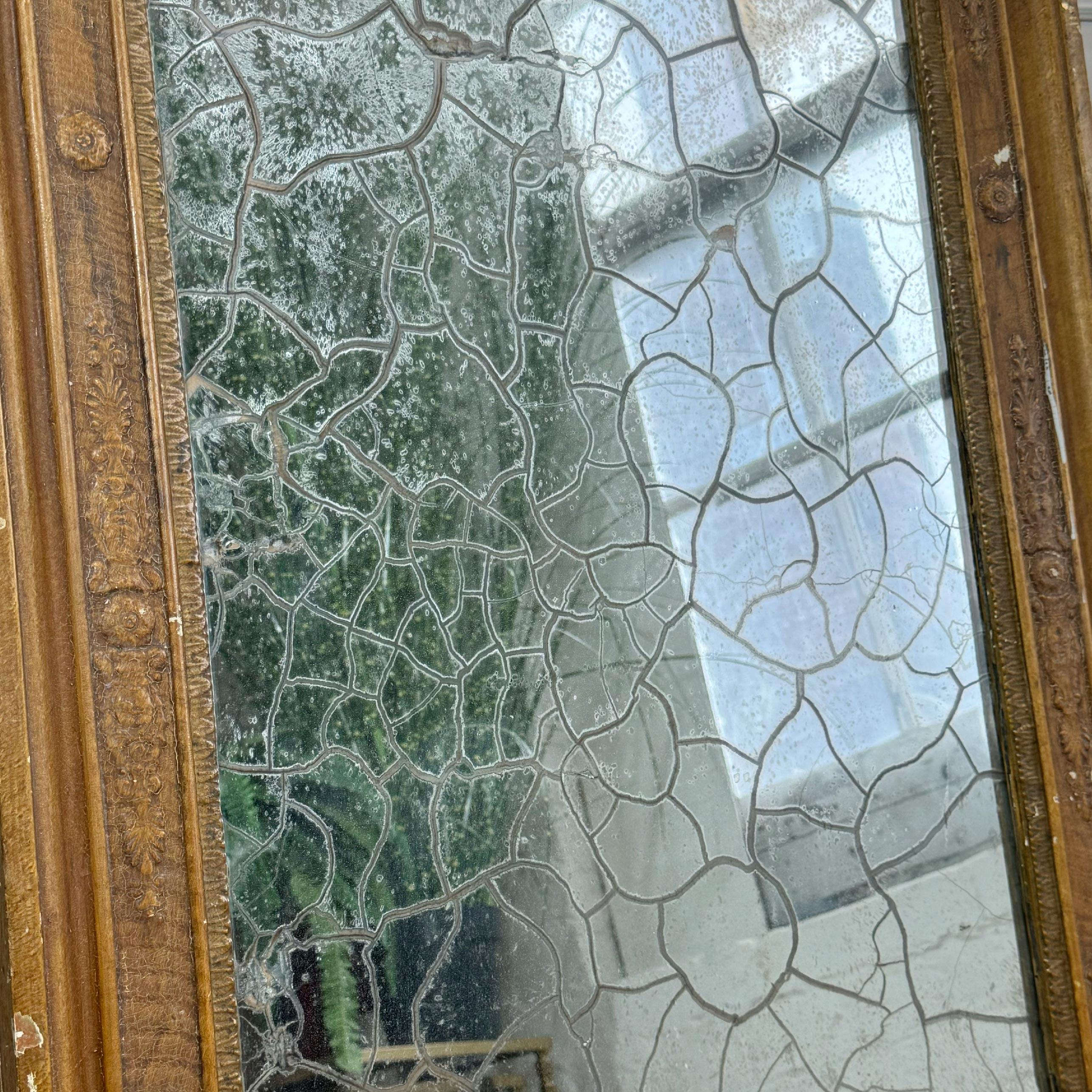 Specchio in legno dorato con sfondo in argento e volpe del XIX secolo in vendita 1