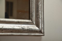 19th Century Silver Giltwood Mirror, France, circa 1860