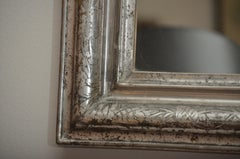 19th Century Silver Giltwood Mirror, France, circa 1860