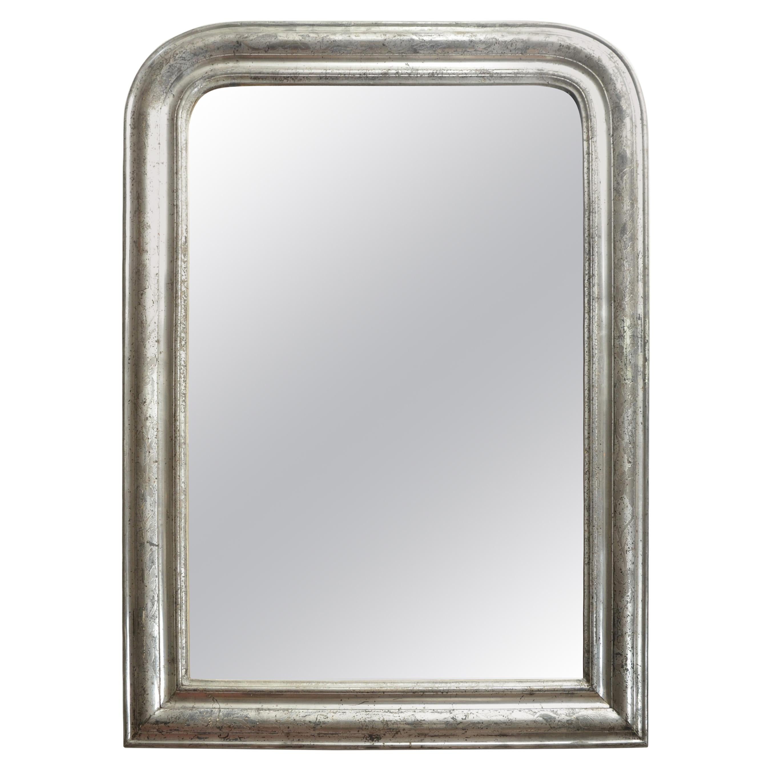 19th Century Silver Giltwood Mirror, France, circa 1860 For Sale