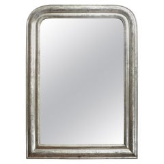 19th Century Silver Giltwood Mirror, France, circa 1860